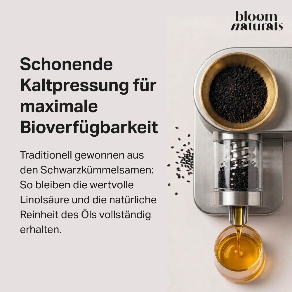 Schonende Kaltpressung von Schwarzkümmelsamen zur Gewinnung von Öl mit Linolsäure und Reinheit.