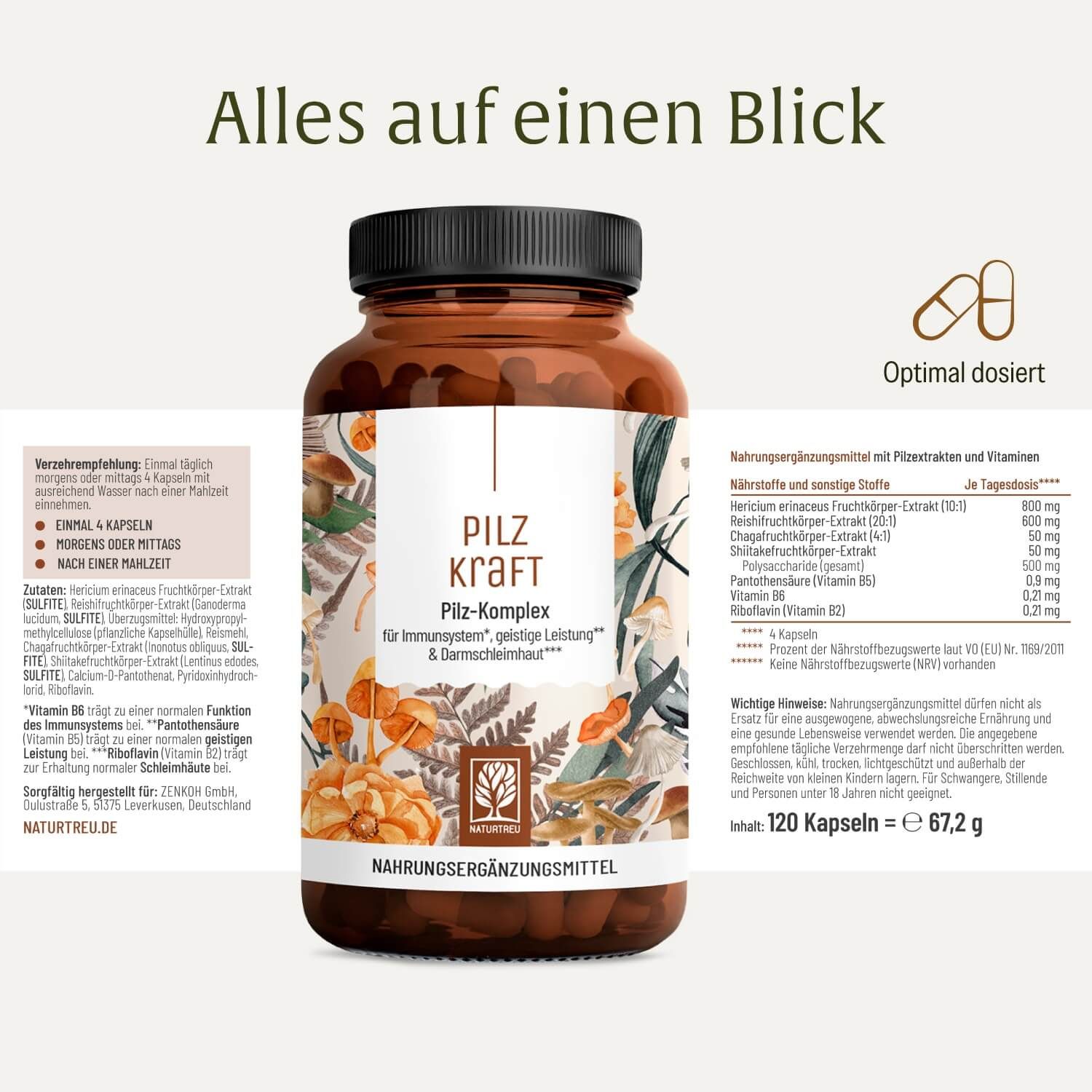 Pilz Komplex Dose mit Übersicht zu Inhaltsstoffen, Dosierung und Nährwerten.