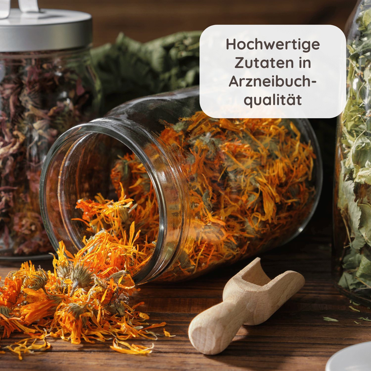 Schlosskräuter Magentee mit Anis & Fenchel