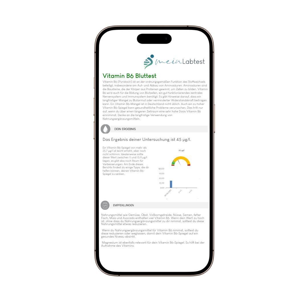 Smartphone mit Ergebnis des Vitamin B6 Bluttests von meinLabtest. Diagramm und Textinformationen zum Testergebnis sind sichtbar.