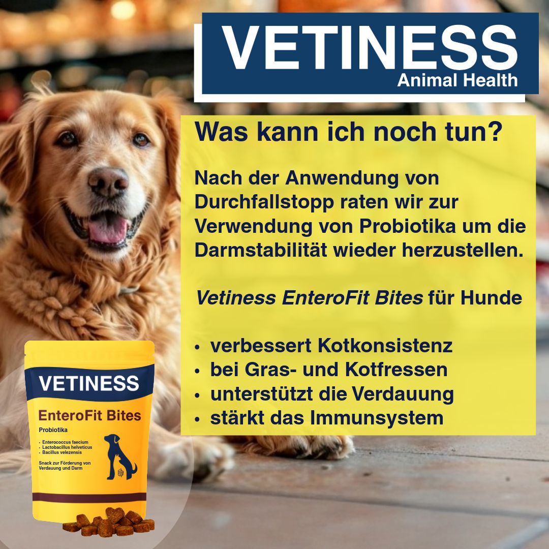 Produktverpackung mit Text: Vetiness, EnteroFit Bites, Hund. Text: Was kann ich noch tun? Gelbe Textfelder. Hundefutter.