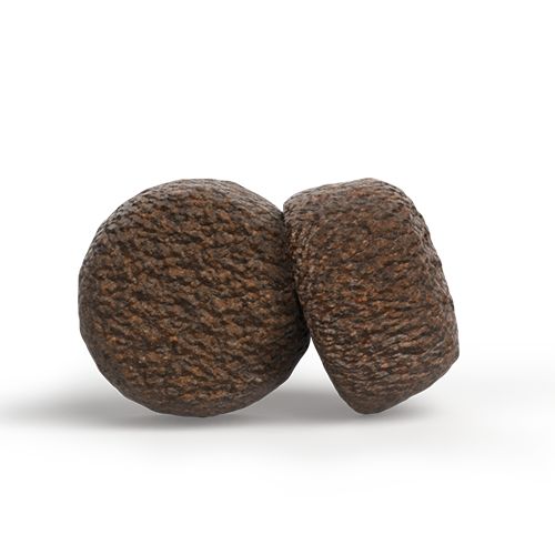 Zwei braune, runde Kroketten. Rauhe Oberfläche. Auf weißem Hintergrund.