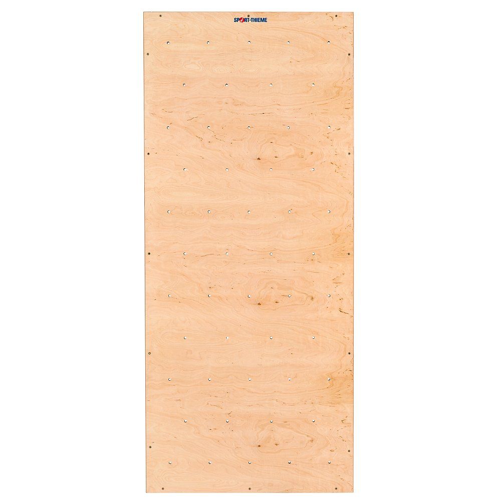 Sport-Thieme Turnwand-Einzelelement TuWa Kletterwand ohne Griffe