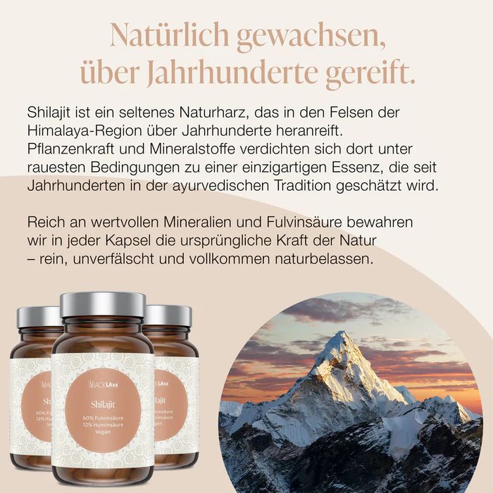 Drei Flaschen mit Kapseln. Text: Shilajit, über Jahrhunderte gereift. Berglandschaft.