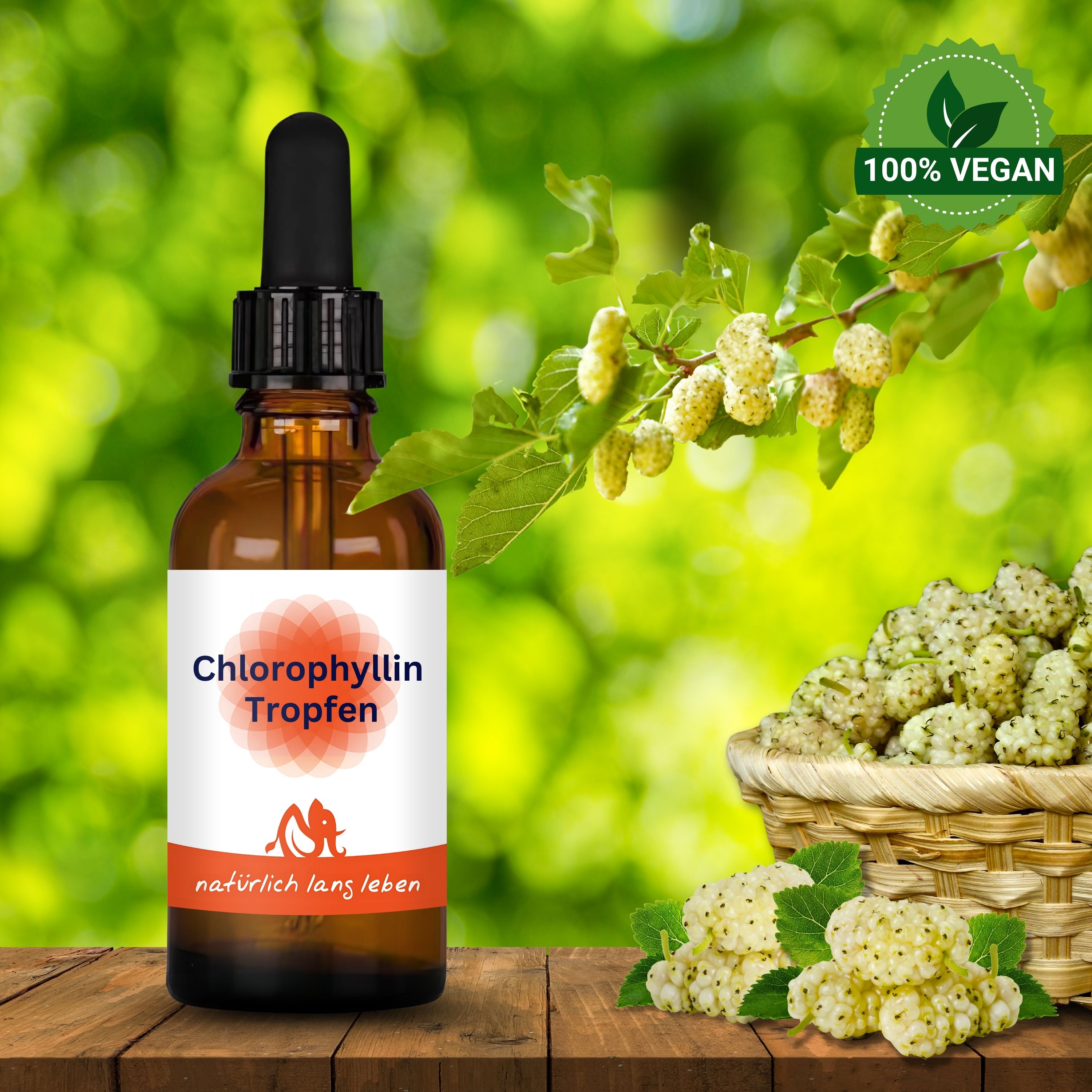 Braune Glasflasche mit Tropfer. Etikett "Chlorophyllin Tropfen". Hintergrund: grüne Blätter und Früchte. Vegan-Siegel.