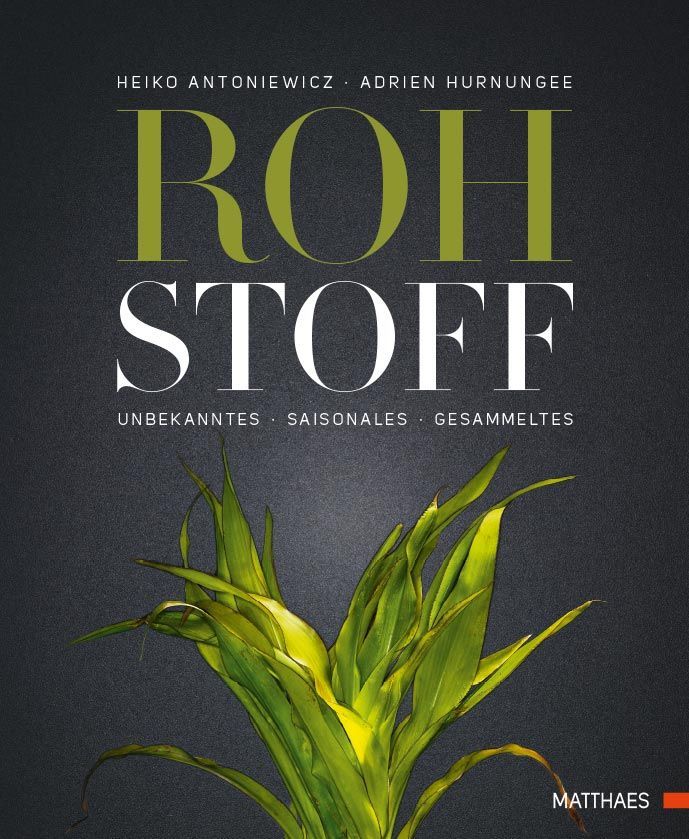 Buchcover mit Titel ROH STOFF, Autorennamen und Pflanzenabbildung. Schwarzer Hintergrund, grüner und weißer Text. Verlag Matthäes.