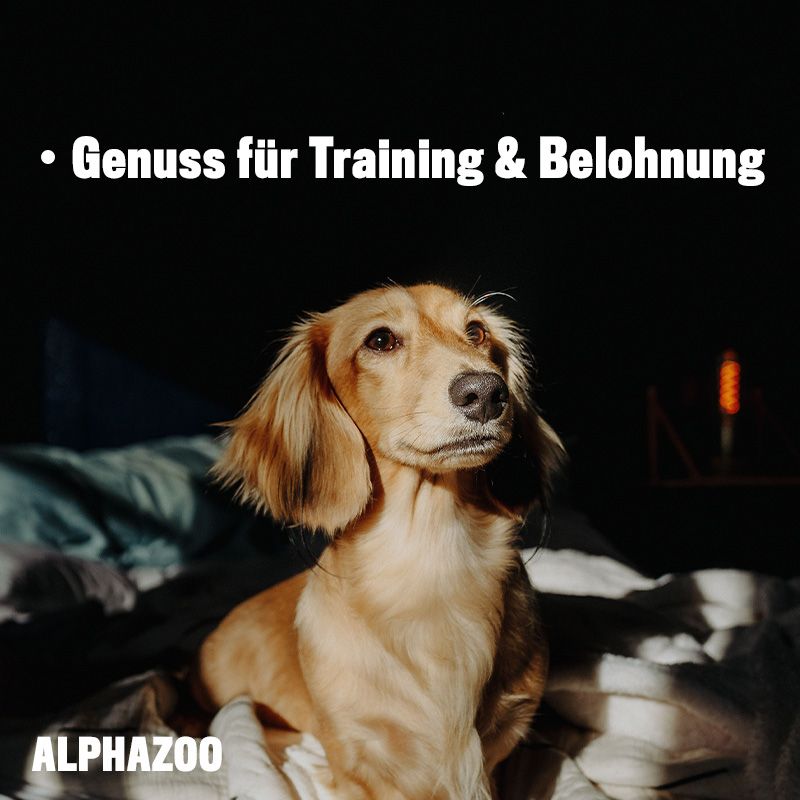 ALPHAZOO Ente Ohne Süß & Sauer