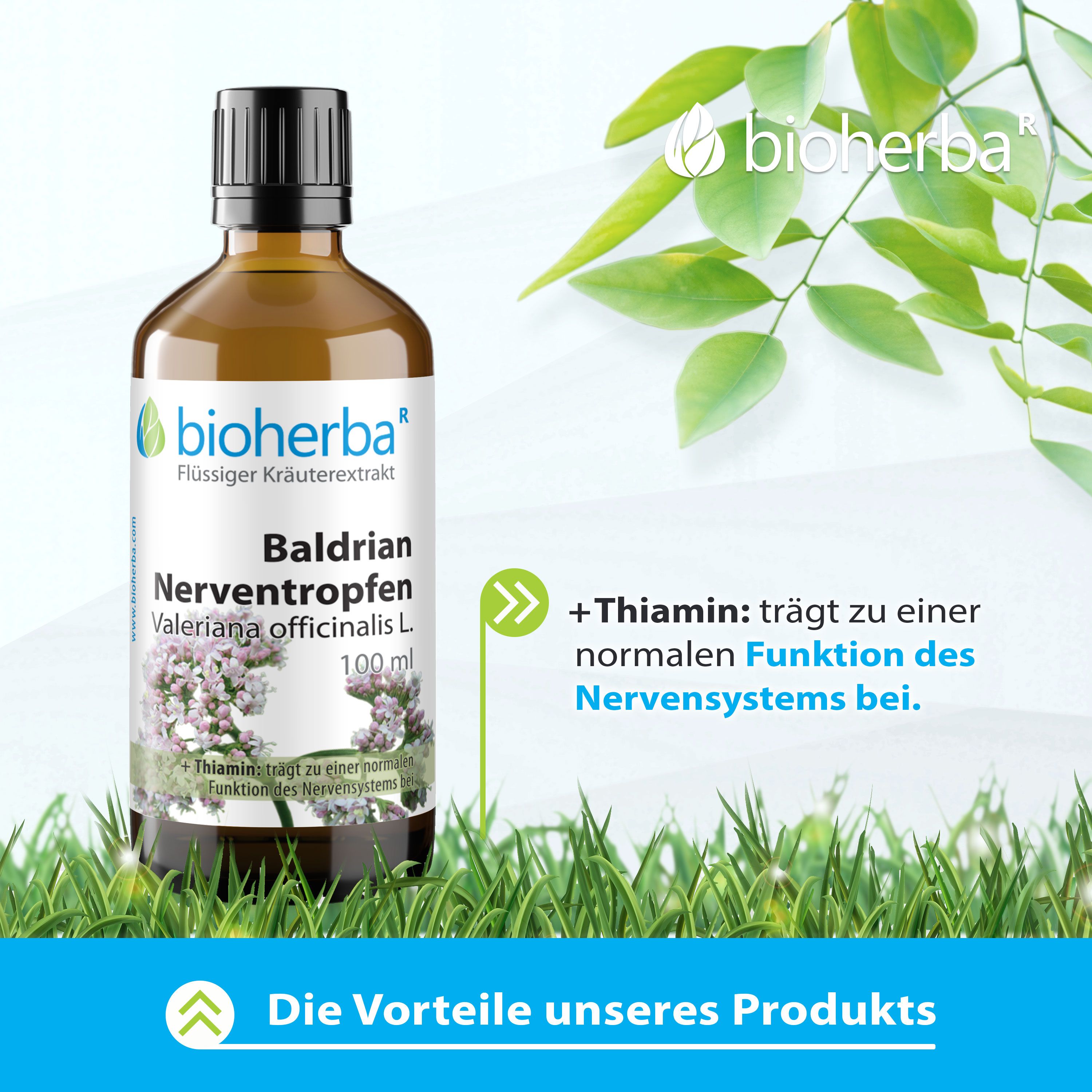 Bioherba Baldrian Nerventropfen Valeriana officinalis L. Tinktur