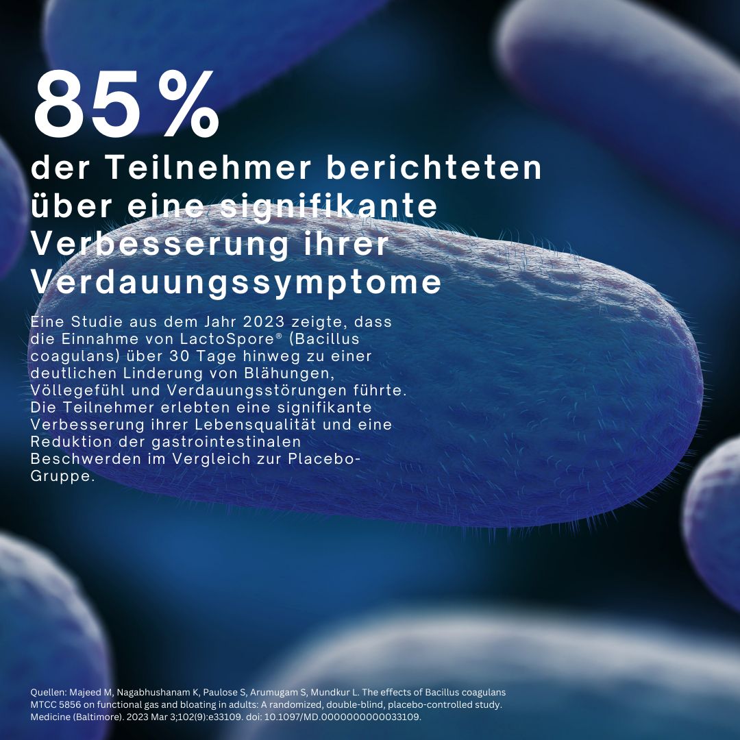 Text mit Überschrift: 85% der Teilnehmer berichteten über Verbesserung der Verdauungssymptome. Studie von 2023.