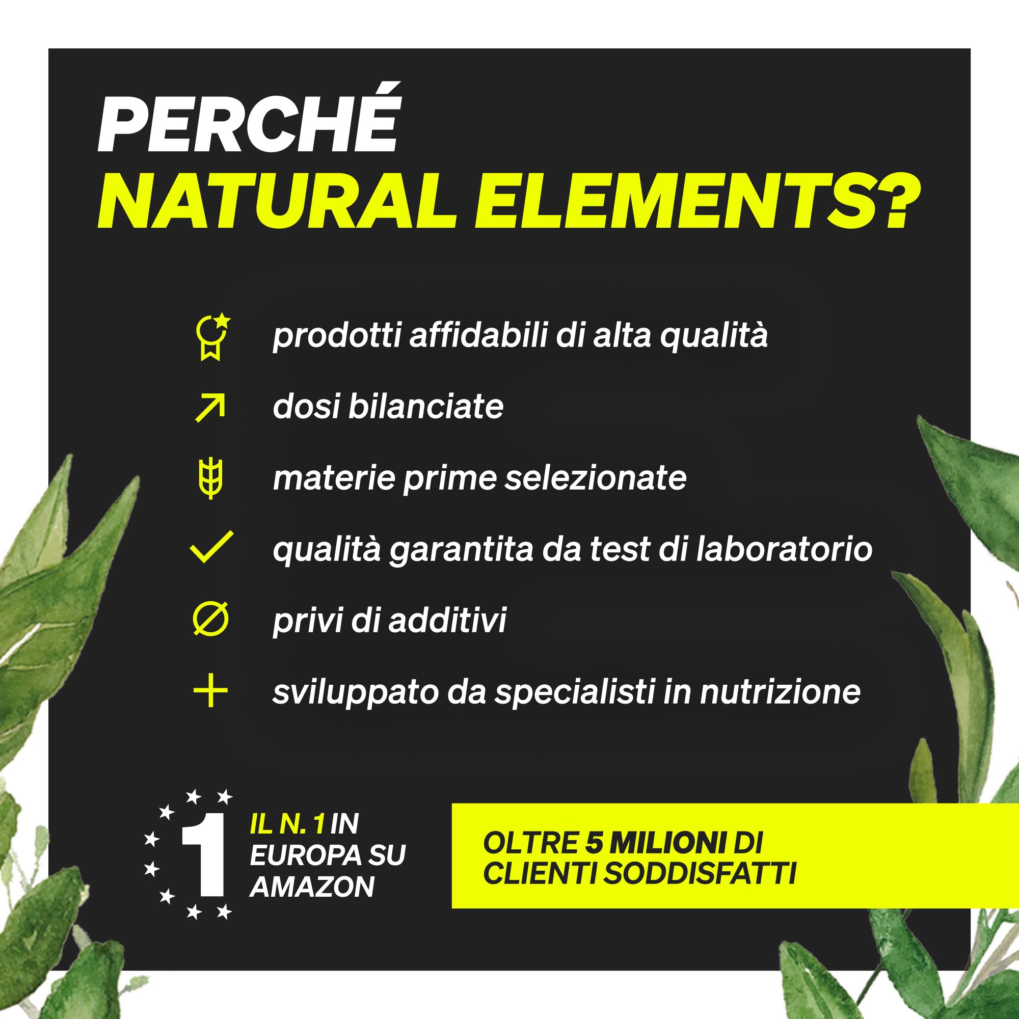 Grafik mit Text über die Vorteile von Natural Elements.