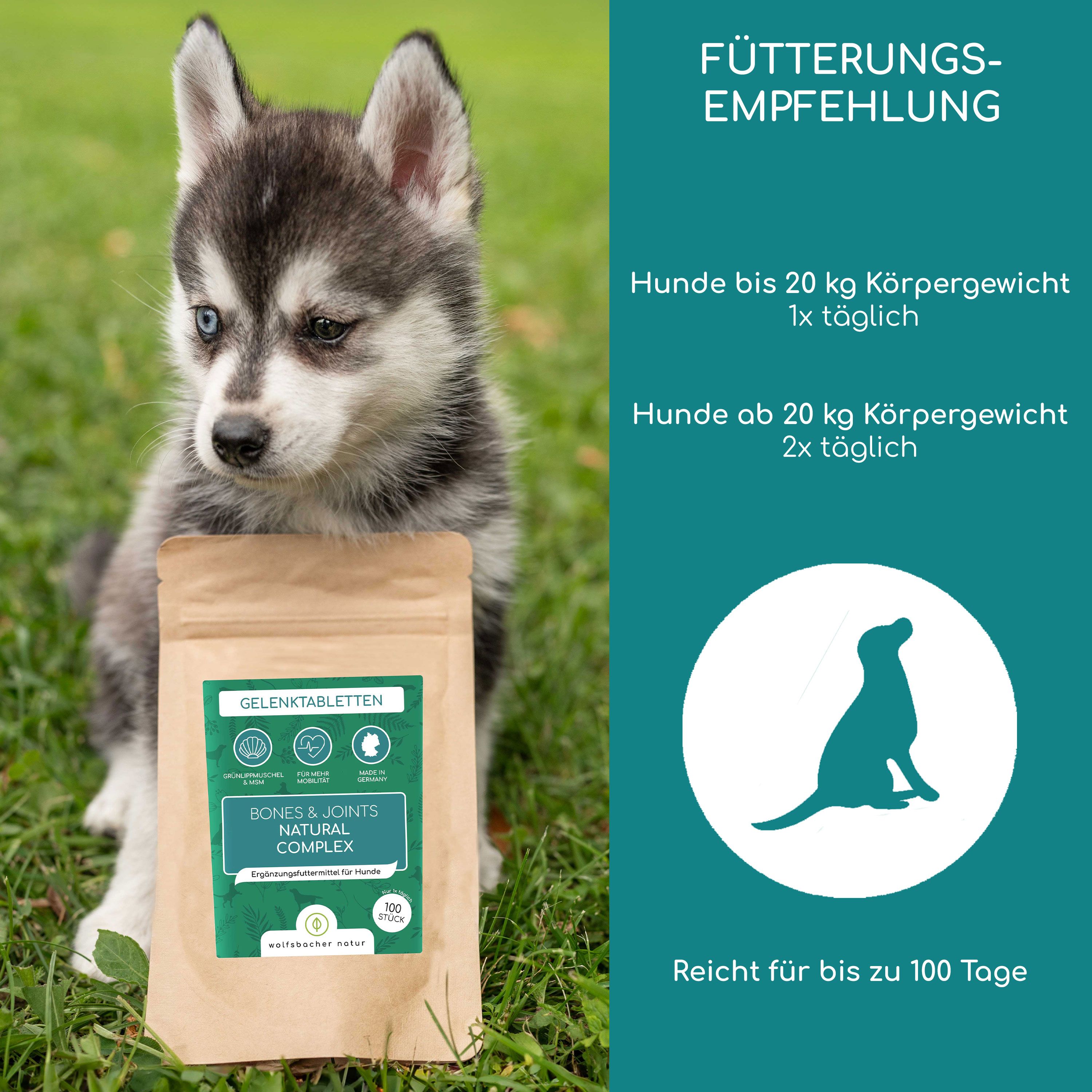 Hundewelpe mit Futtertüte. Text über Fütterungsempfehlung und eine Silhouette eines sitzenden Hundes.
