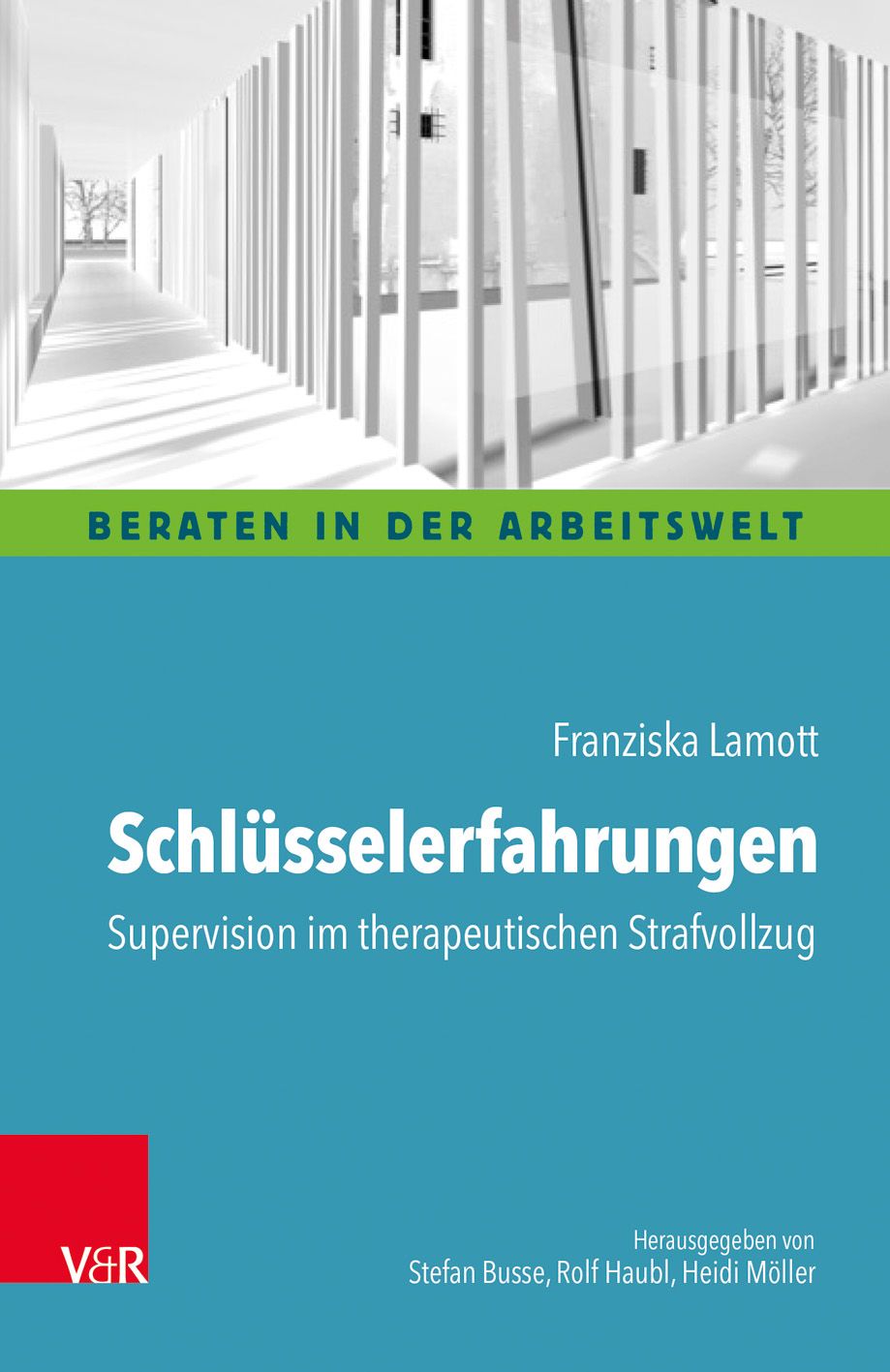 Buchcover: "Schlüsselerfahrungen". Titel in Weiß auf blauem Hintergrund. Autorin: Franziska Lamott. Verlag V&R.
