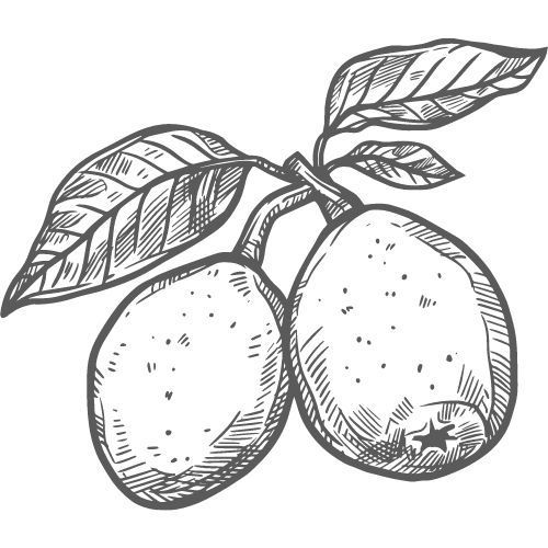 Alteya Organics Marulaöl 100%