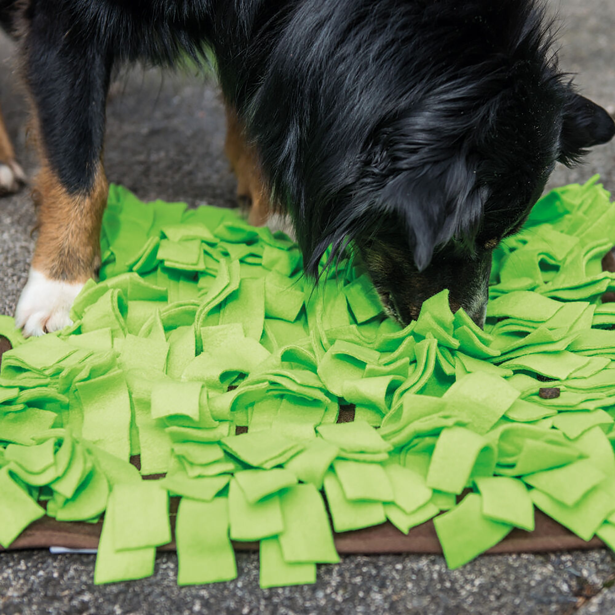 Schnüffelwiese - Leckerlie-Suchspiel Schnüffelteppich für Hunde - Halmlänge 7 cm