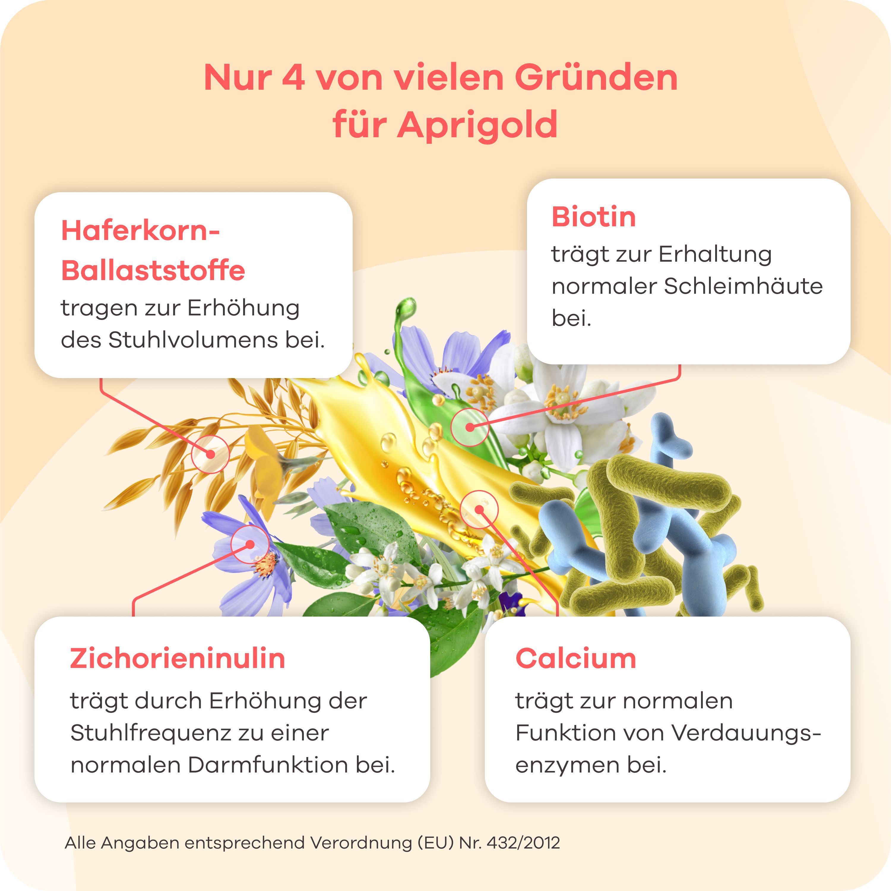 Illustrationen von Inhaltsstoffen: Haferkorn-Ballaststoffe, Biotin, Zichorieninulin, Calcium. Text: Für gesunde Darmfunktion.