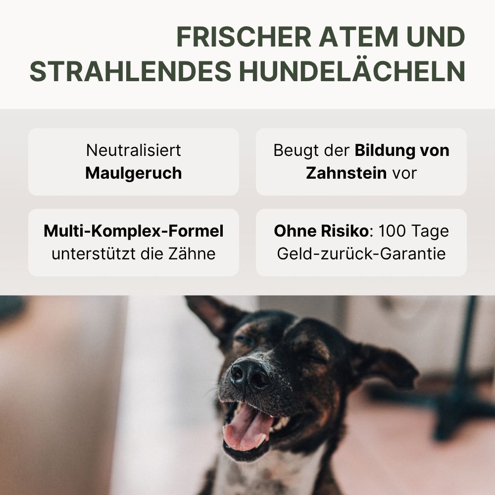 Textfeld mit Überschrift "FRISCHER ATEM UND STRAHLENDES HUNDELÄCHELN". Untertitel: Neutralisiert Maulgeruch, beugt Zahnstein vor, Multi-Komplex-Formel.