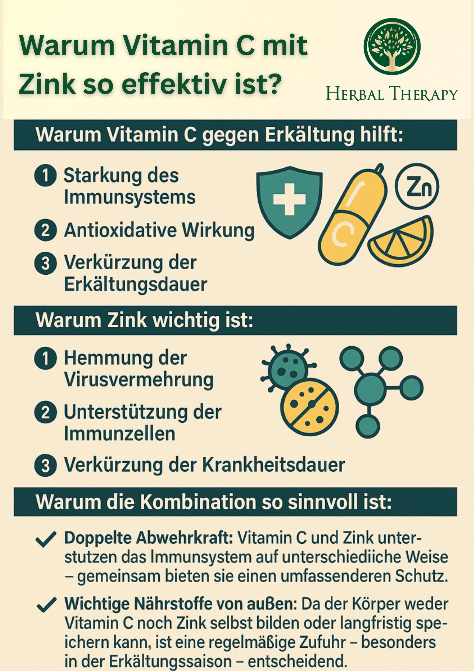 Infografik: Warum Vitamin C mit Zink so effektiv ist? Text und Illustrationen zu den Vorteilen der Kombination.