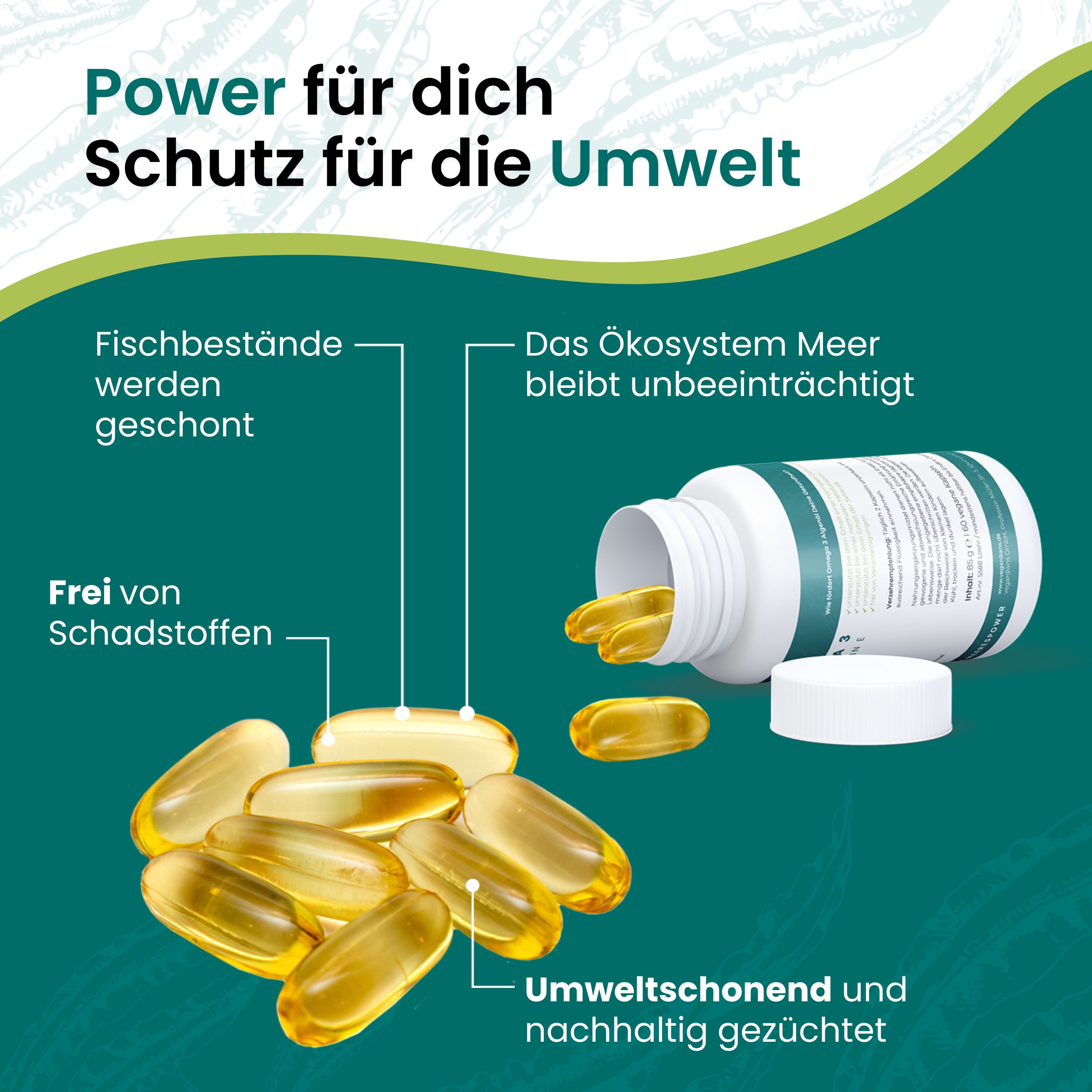 Eine geöffnete Flasche mit Kapseln. Text: Veganes Omega 3. Vorteile: Fischbestände werden geschont, frei von Schadstoffen, umweltschonend.