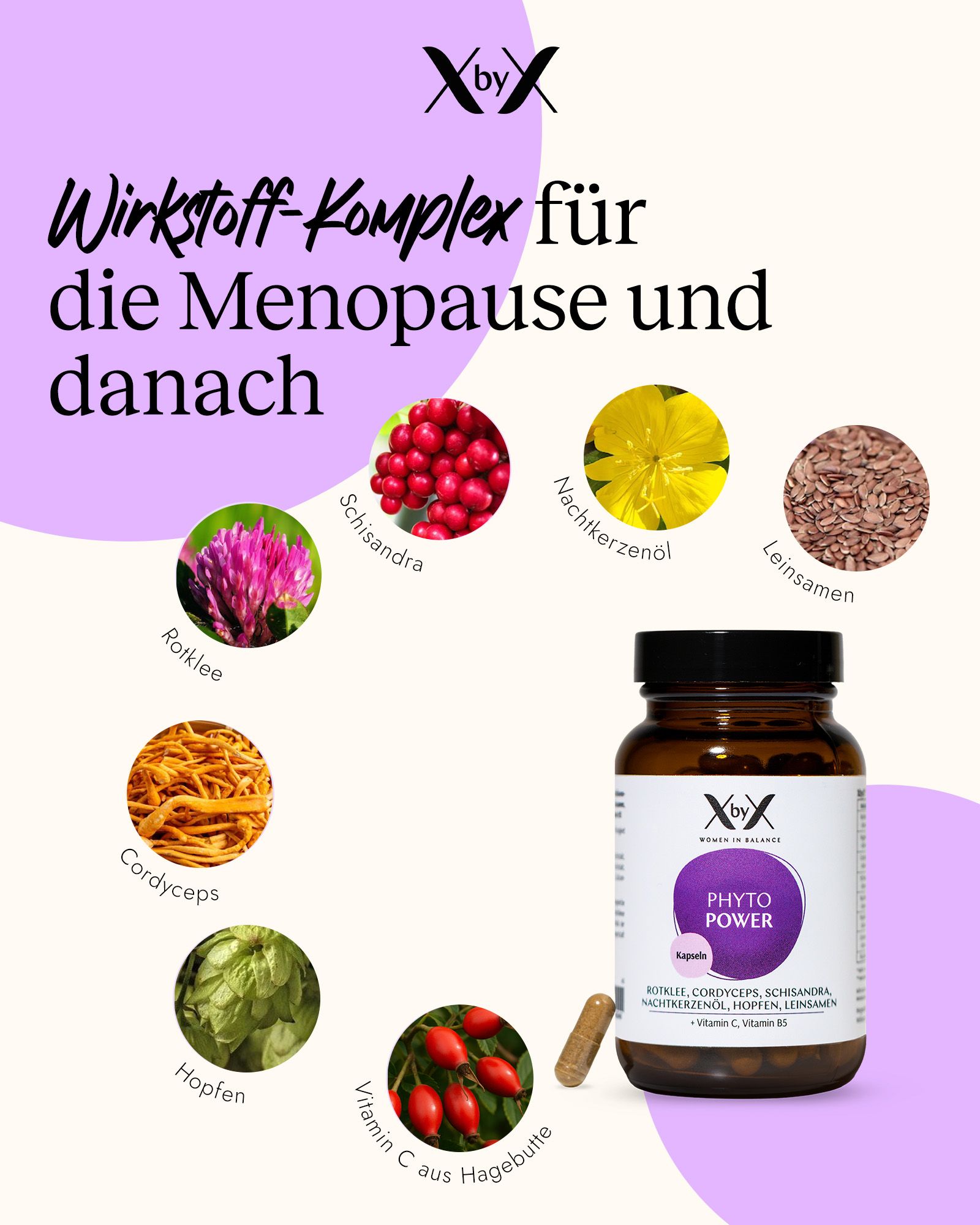 XbyX Phyto Power Kapseln Flasche mit Darstellungen von Rotklee, Schisandra, Nachtkerzenöl, Leinsamen, Hopfen, Cordyceps, Vitamin C.