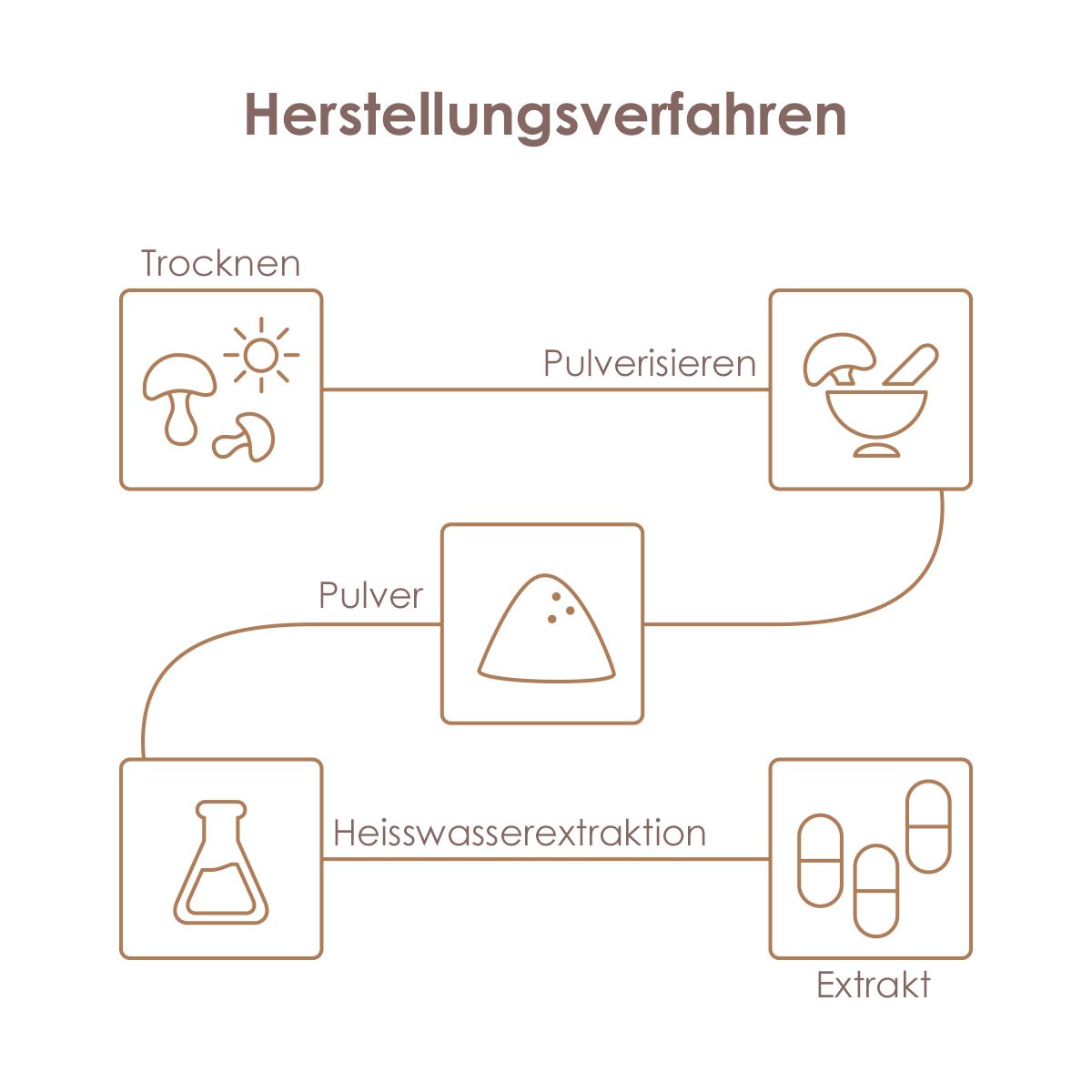 Pilze Wohlrab - Hericium BIO Pulver