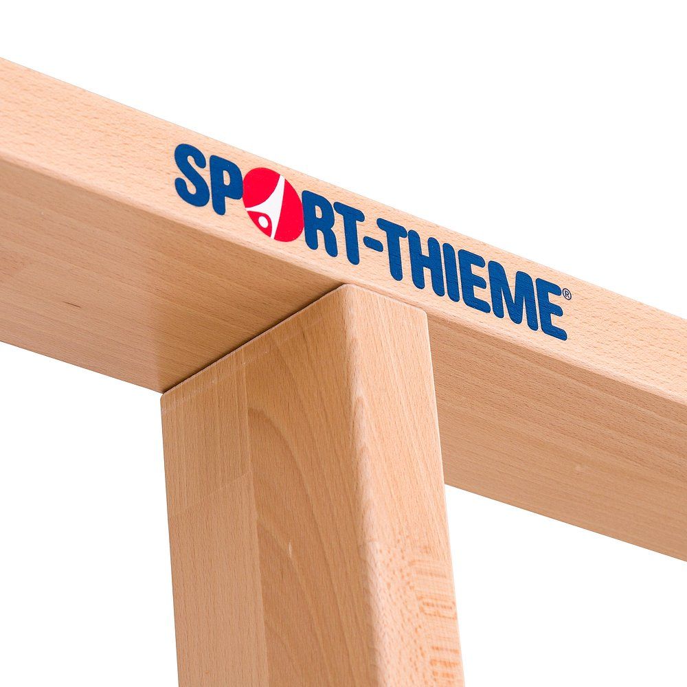 Sport-Thieme Turnwand-Einzelelement TuWa Gitterleiter