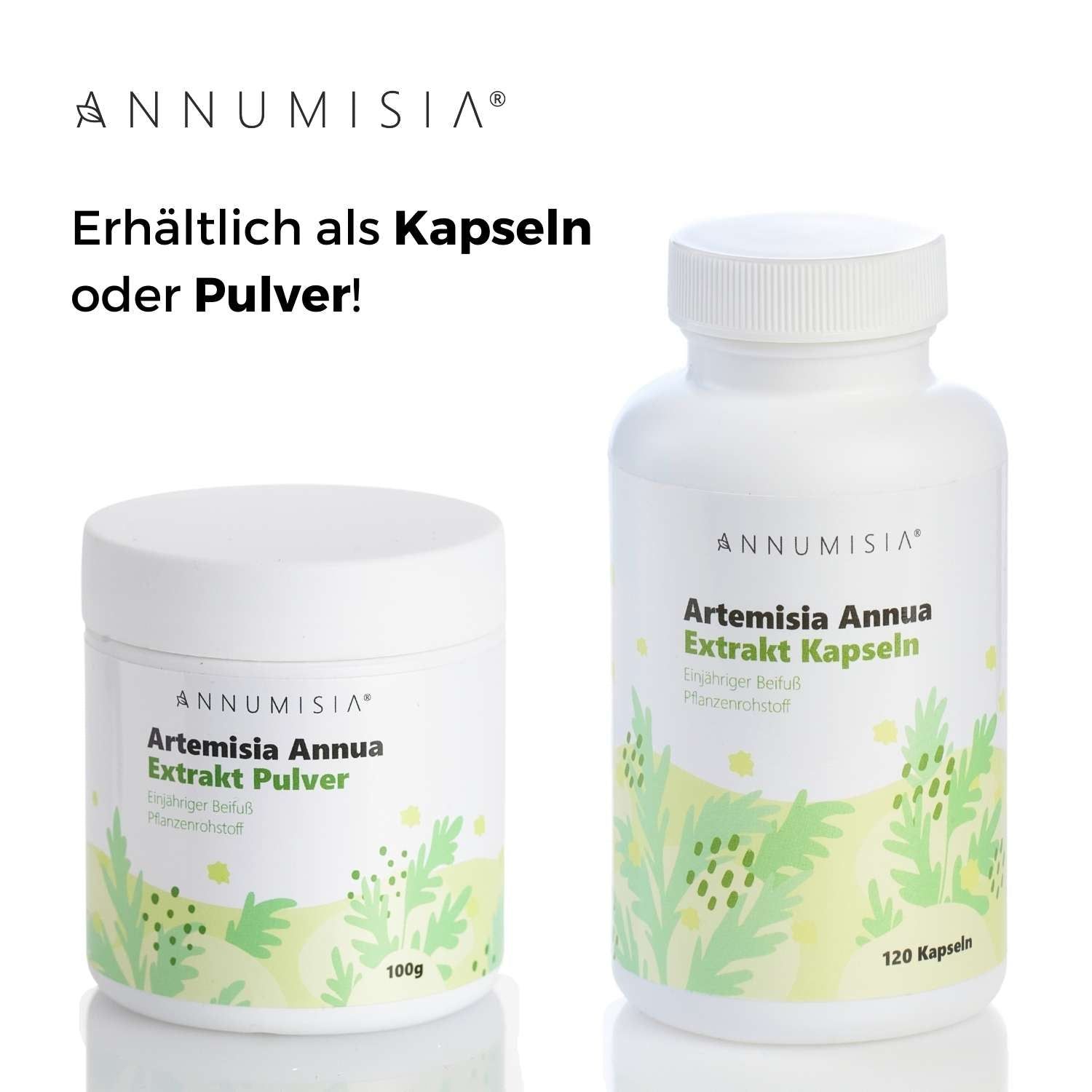 ANNUMISIA® Artemisia Annua Extrakt Kapseln