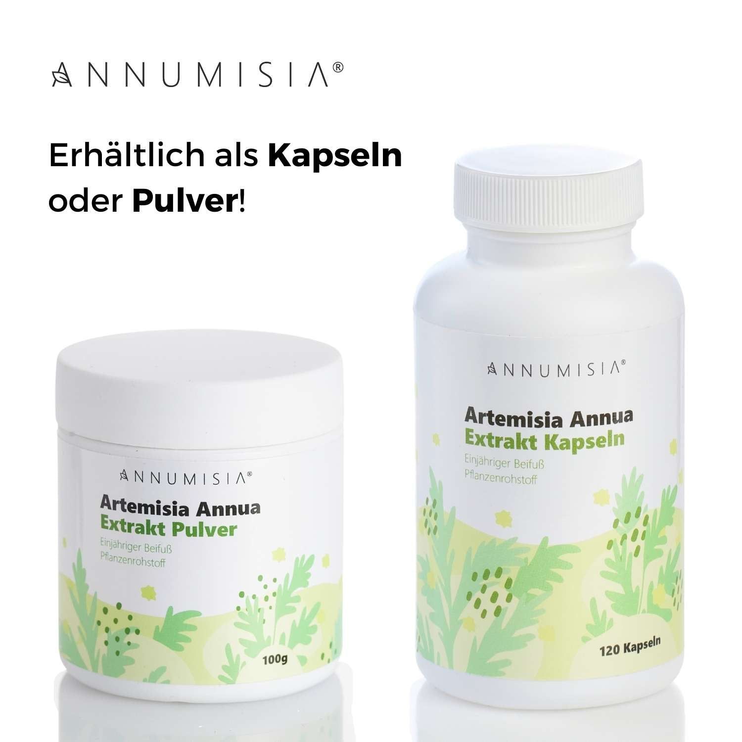 Artemisia Annua Extrakt Pulver I 100g I SCHEUNENGUT® - Scheunengut