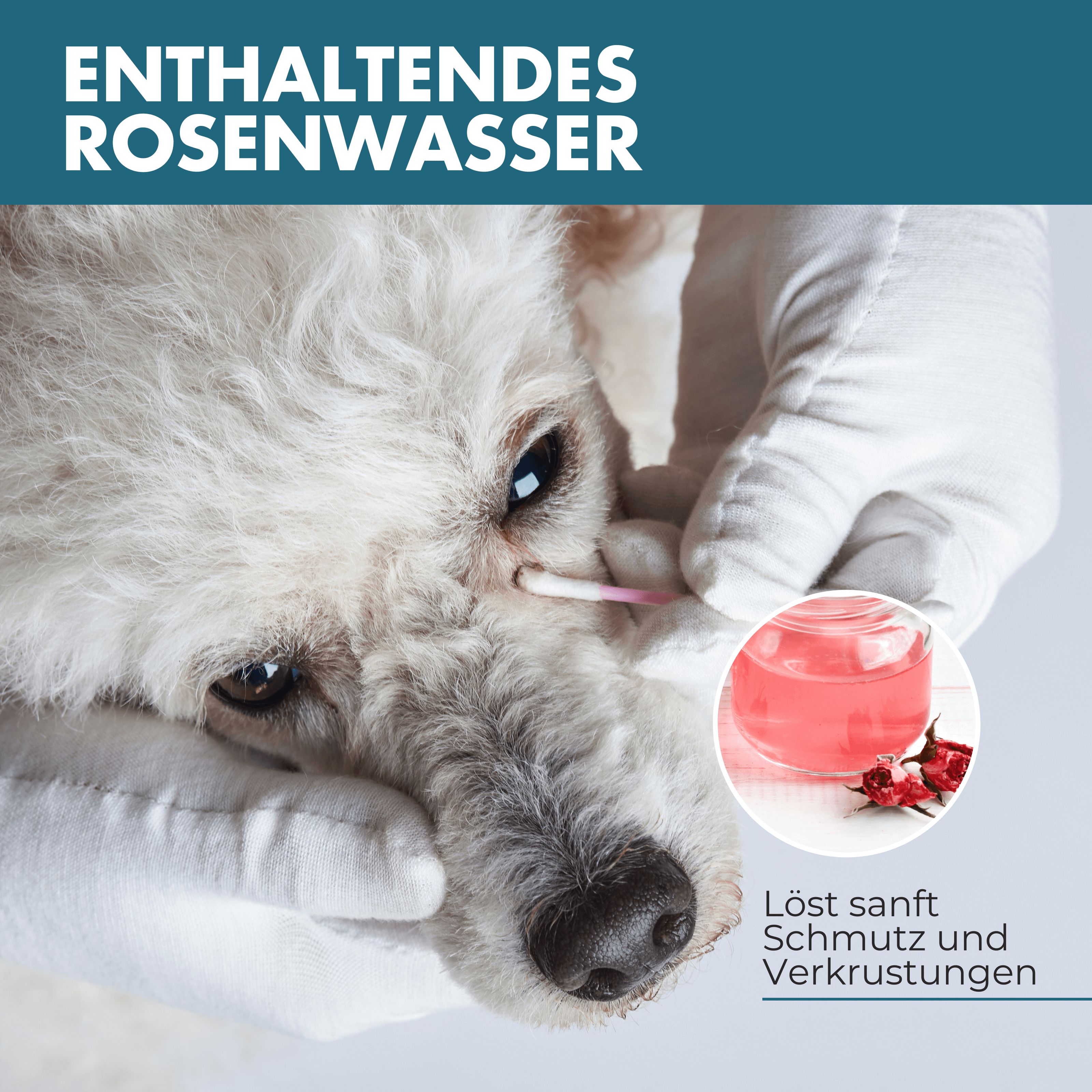 PAW WOW Euphrasia Augenpflege