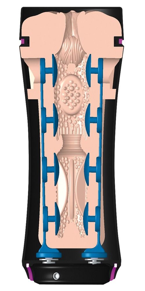 Schnittmodell eines Geräts. Innenleben mit blauen Elementen und anatomisch geformten, hellen Bereichen.