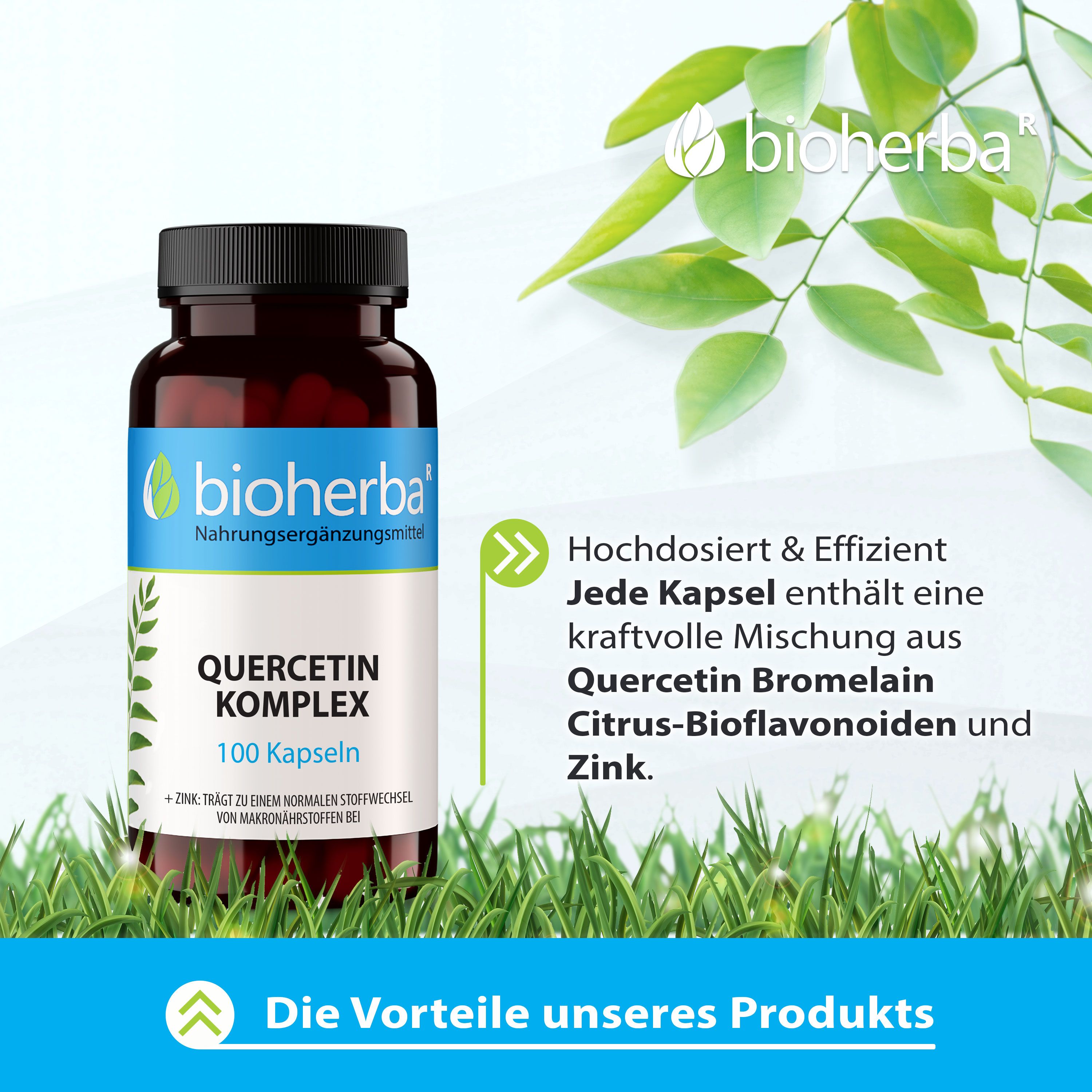 Bioherba Quercetin Komplex Kapseln