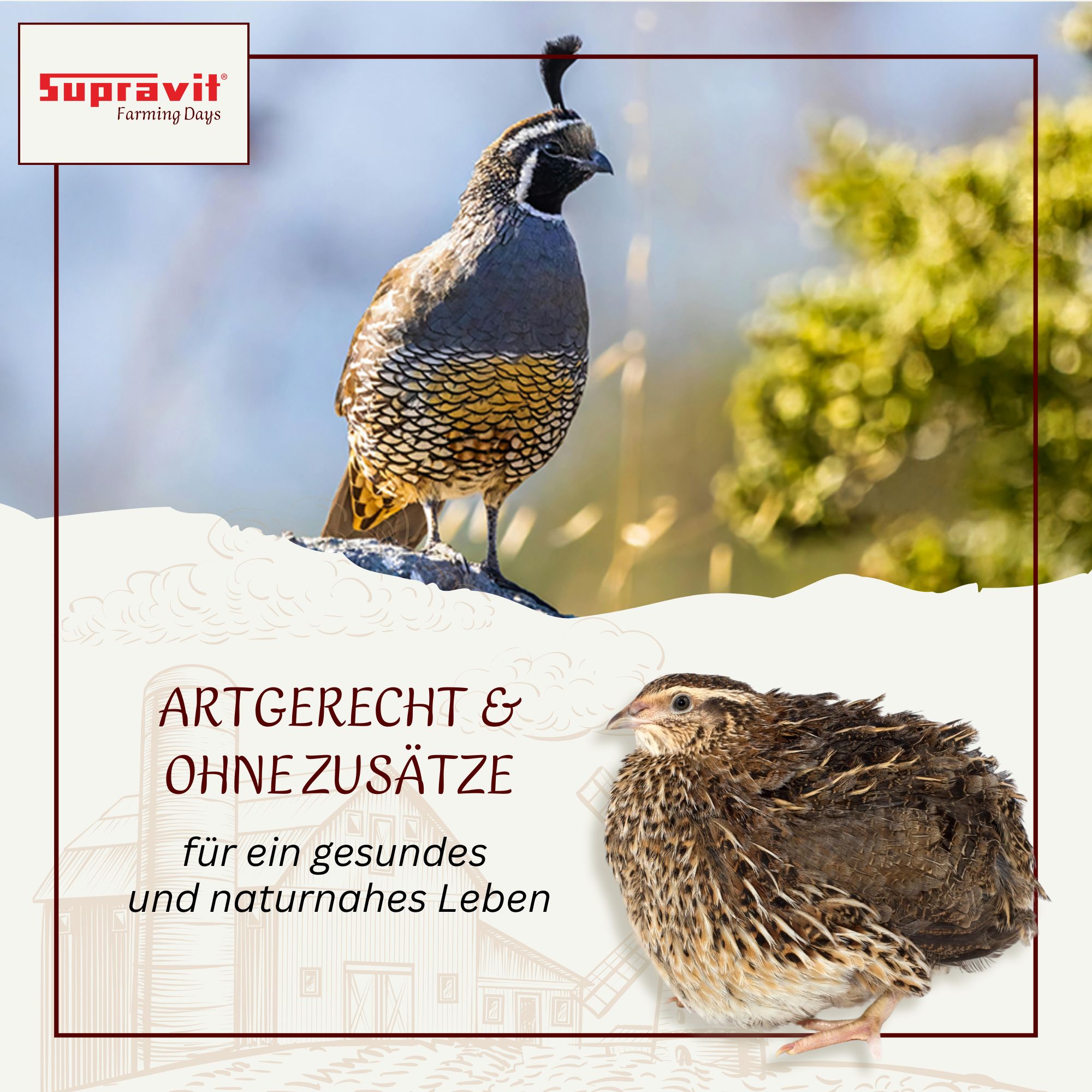 Artgerecht & ohne Zusätze. Text mit zwei Wachteln. Logo Supravit. Für ein gesundes und naturnahes Leben.