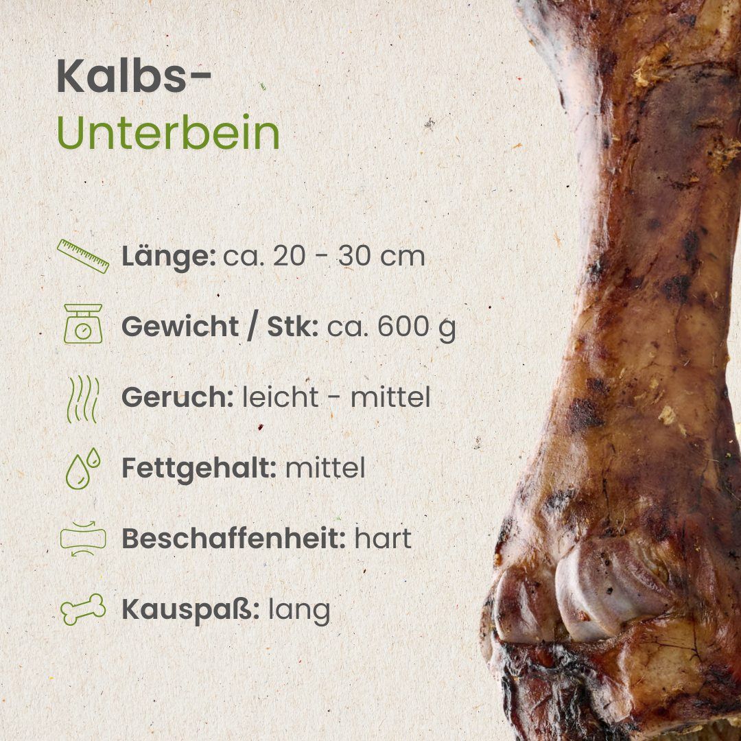 Textgrafik erklärt Vorteile von Kauartikeln für Hunde: Beschäftigung, Protein, Zahnpflege, Stressabbau.