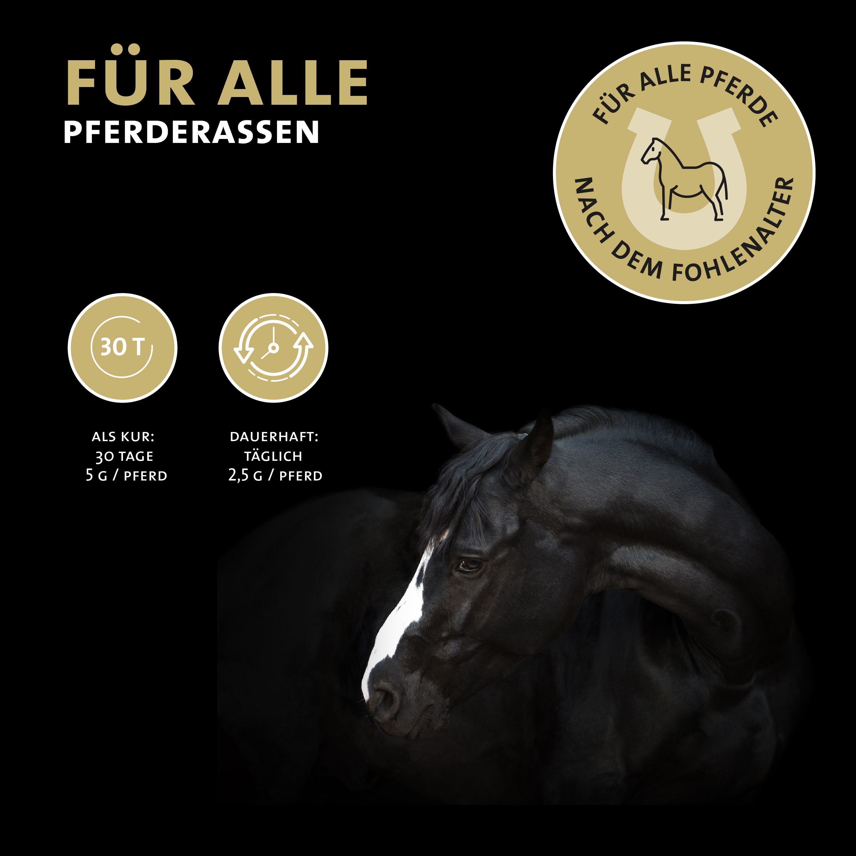 Schwarzes Pferd. Text: Für alle Pferderassen. Logo: Hufeisen. Text: Nach dem Fohlenalter. Dosierung.
