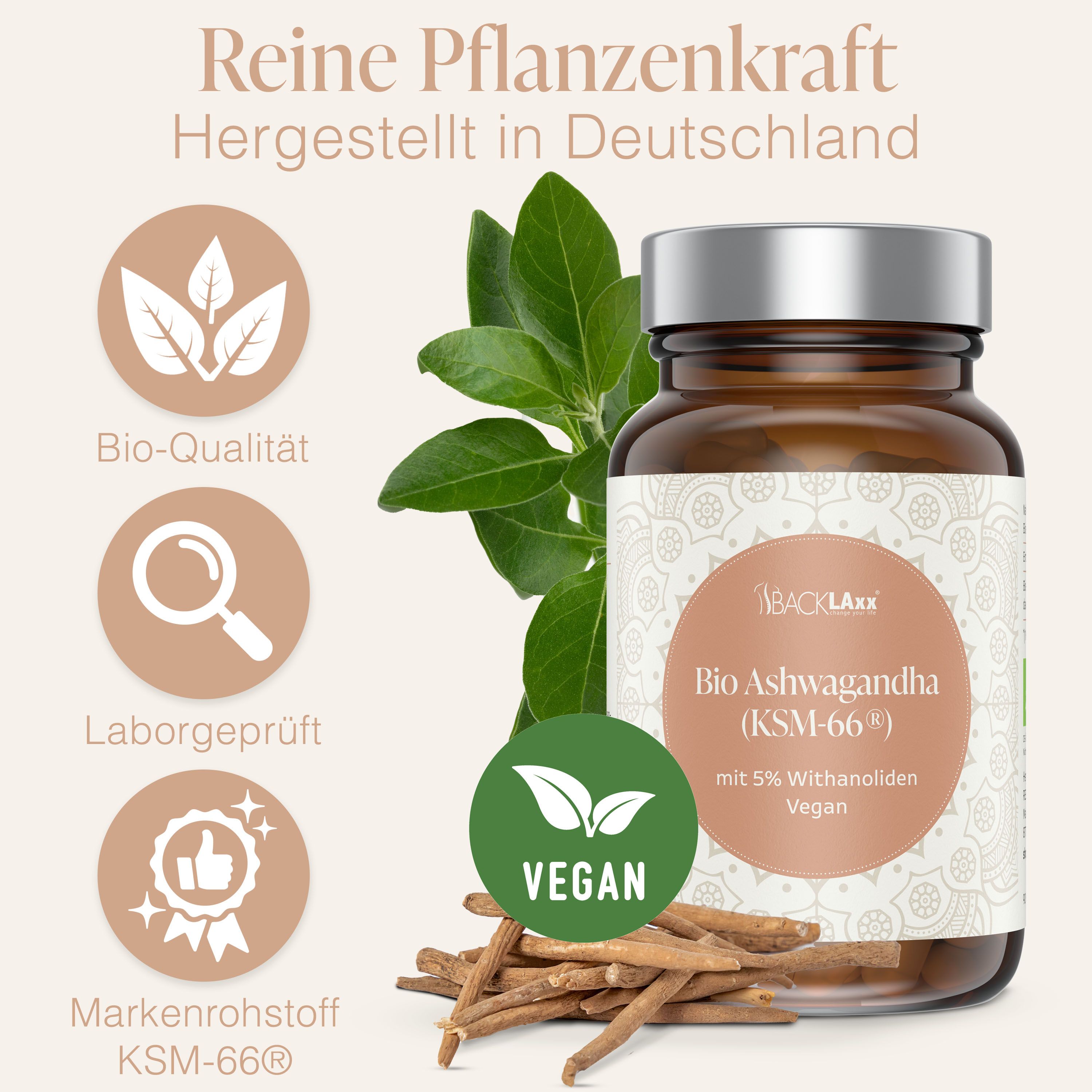 Braune Glasflasche mit Kapseln, Blättern und Ashwagandha-Wurzeln. Label: BACKLAXX Bio Ashwagandha (KSM-66®). Vegan, Bio-Qualität.