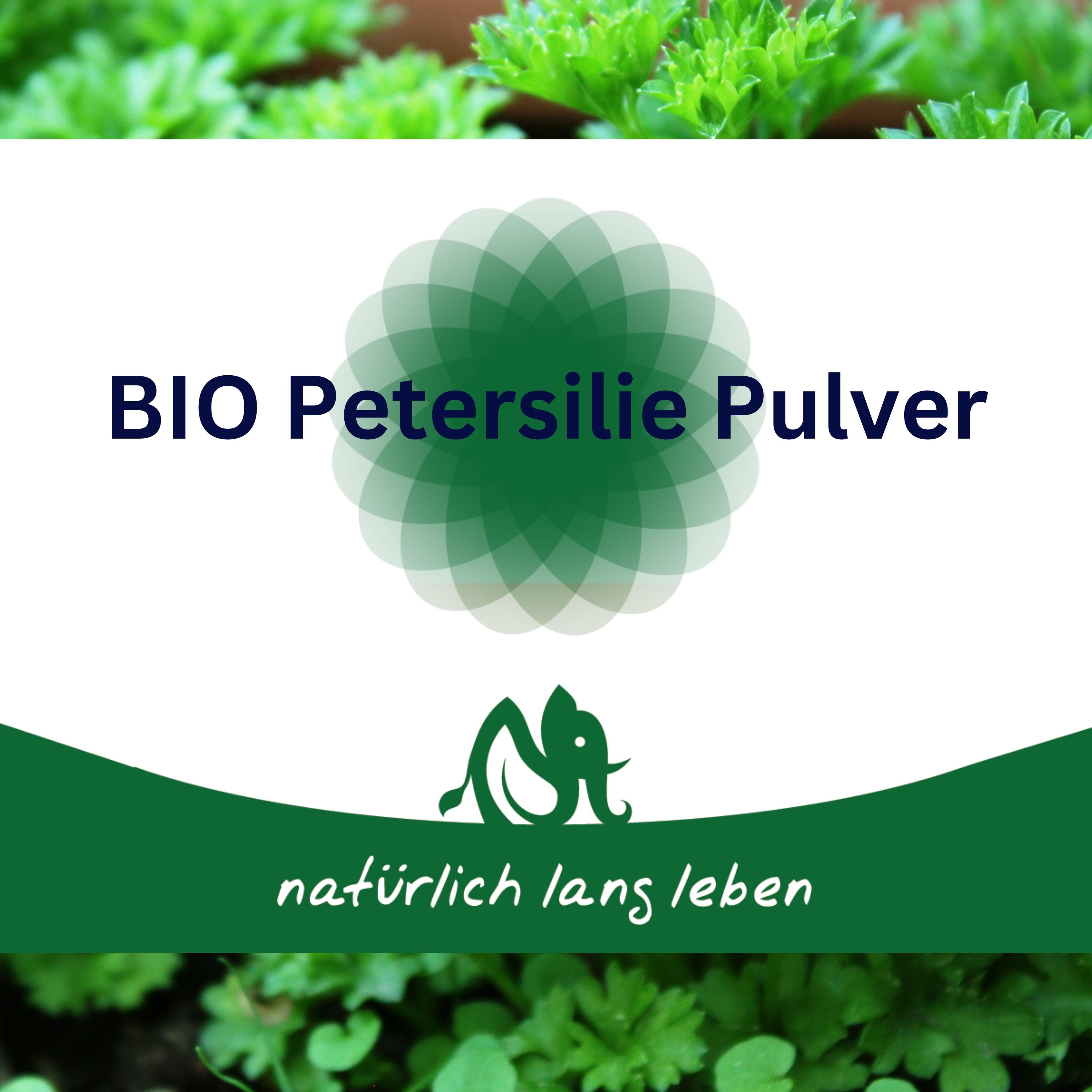 Text mit „BIO Petersilie Pulver“ und „natürlich lang leben“ auf weißem Hintergrund mit grünem Muster und Pflanzen.