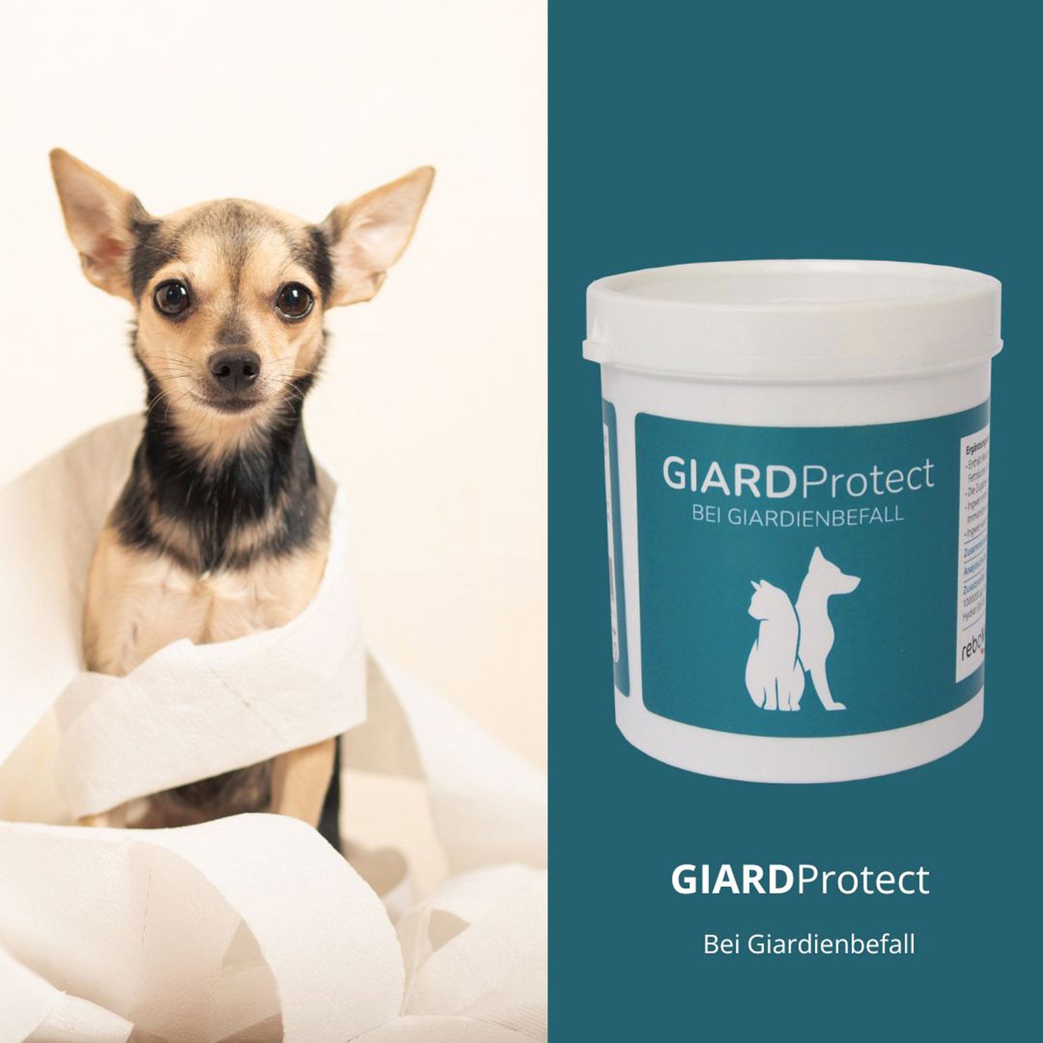 reboVet GiardProtect