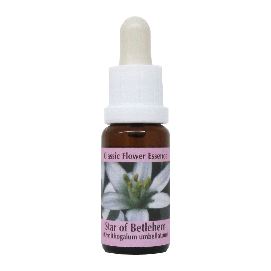 PHI Essences - Star of Betlehem Bachblüte Nr. 29