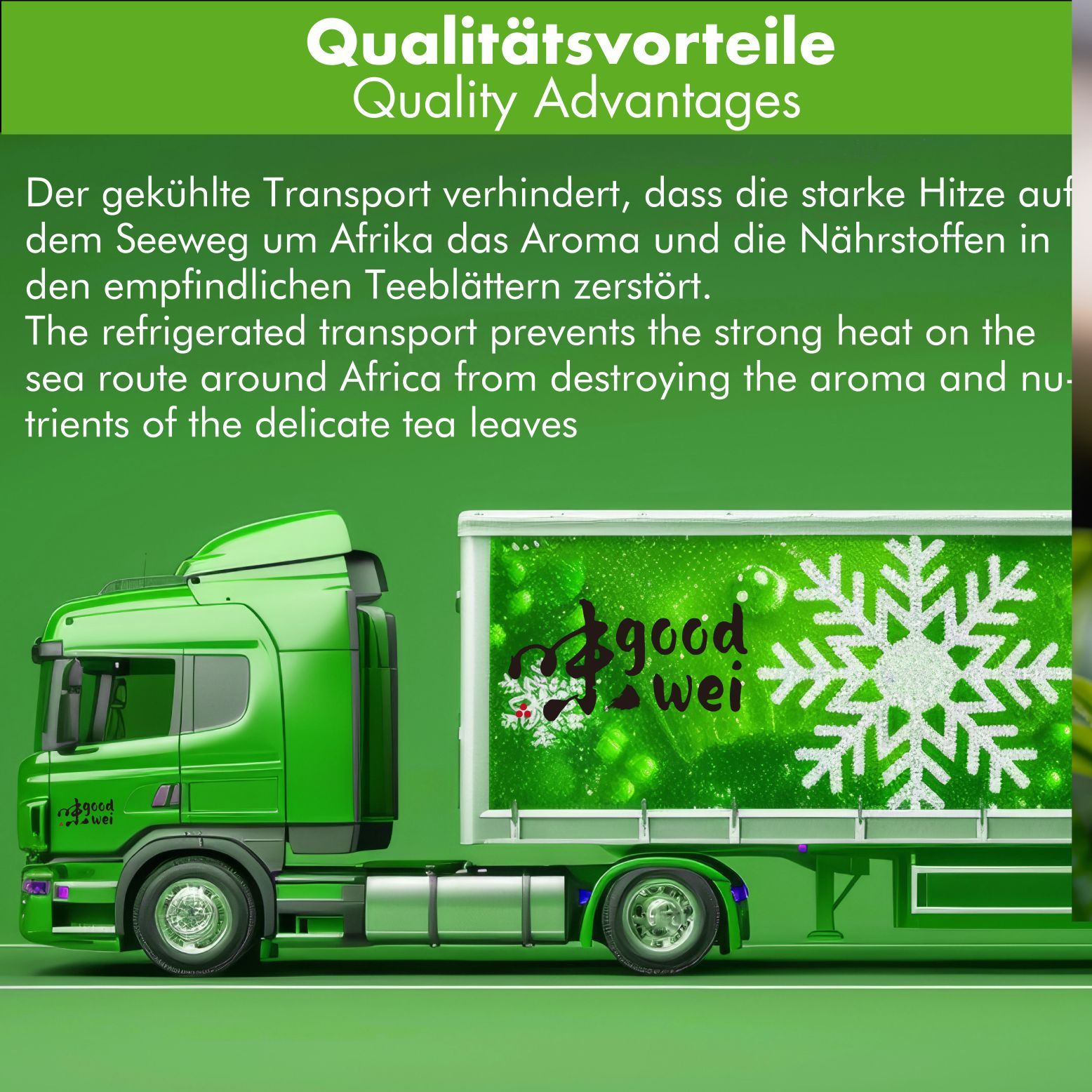 Grüner LKW mit Goodwei-Logo und Schneeflocken-Illustration. Text: Qualitätsvorteile. Der gekühlte Transport verhindert Hitzeschäden.