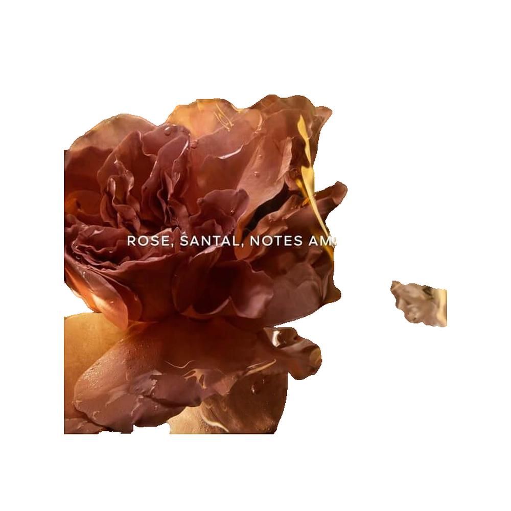 Nahaufnahme einer braunen Rose mit Tropfen. Text: Rose, Santal, Notes Am.