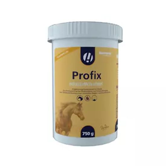 Hestevard Profix