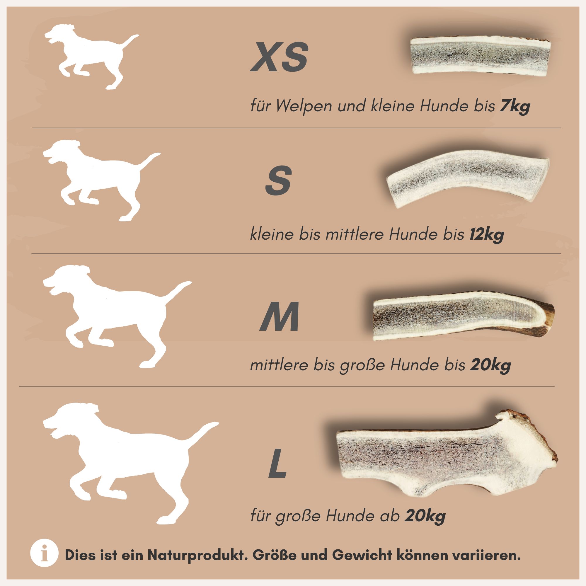 Hirschgeweihe nach Größe: XS, S, M, L. Größenangaben und Gewichtsempfehlungen für Hunde. Text: Naturprodukt. Größen und Gewicht können variieren.