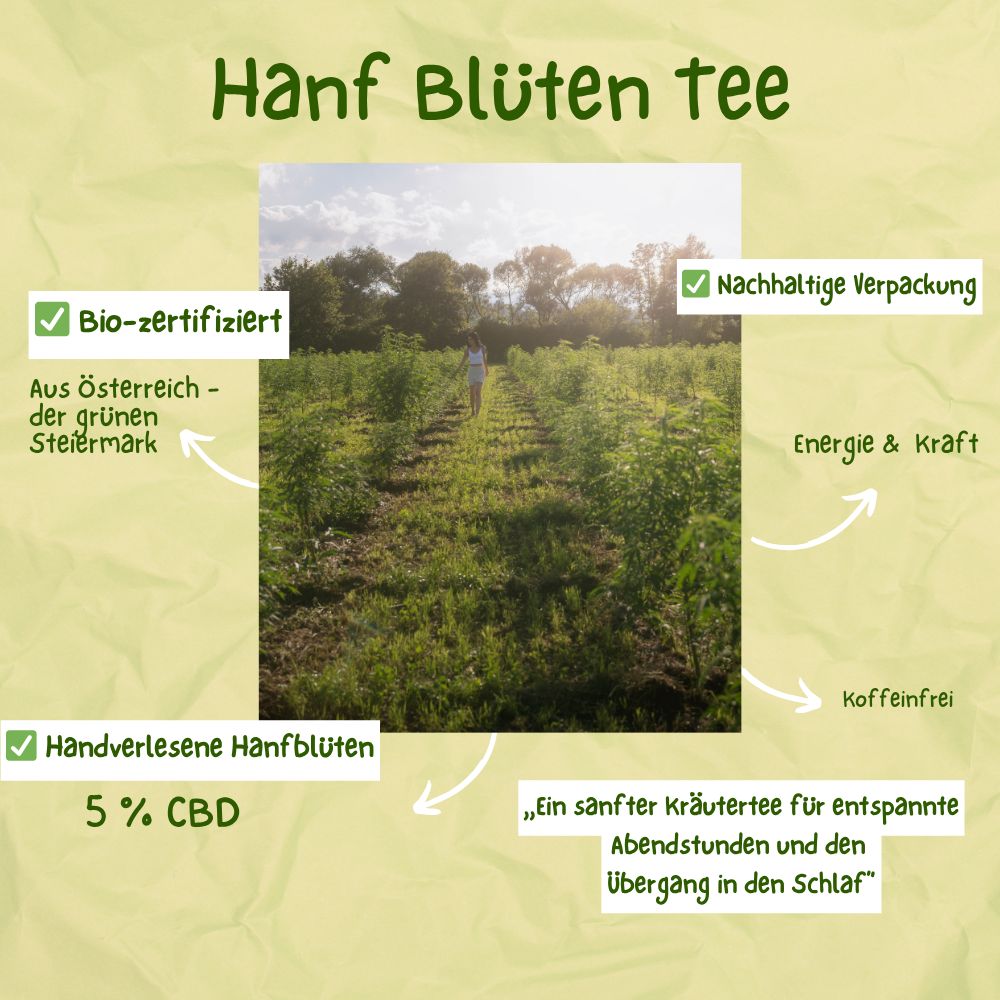 Infografik: Hanfblüten Tee, Bio-zertifiziert, aus Österreich.