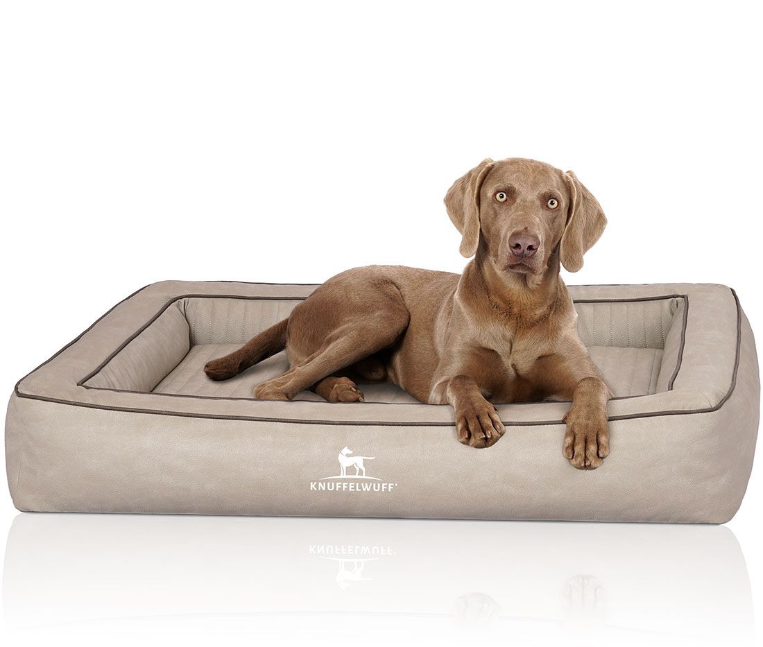 Knuffelwuff Orthopädisches Hundebett Montego