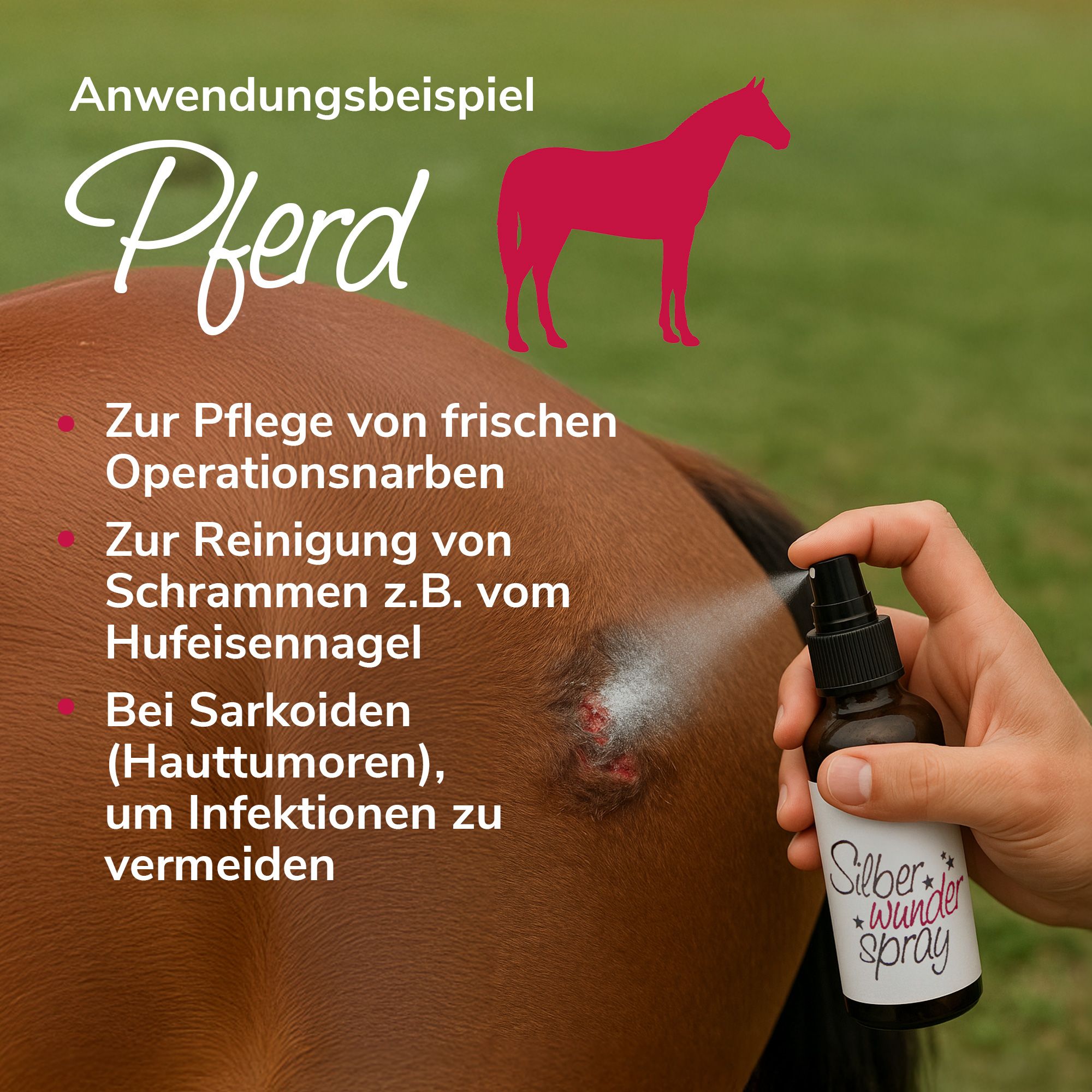 HerzensTier Silberwunderspray für Hund, Katze und Pferd