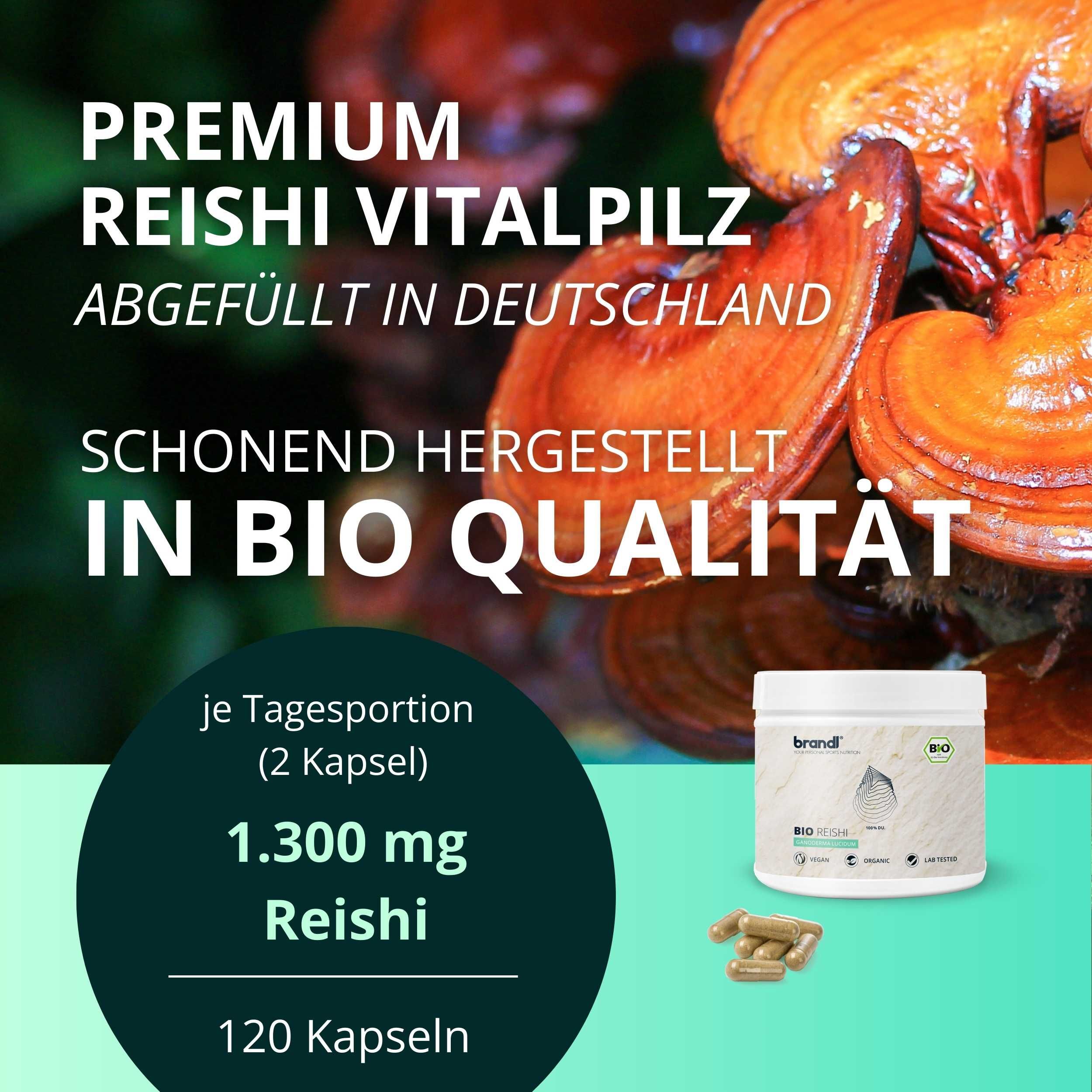 brandl® Bio Reishi Vitalpilz 240 St Kapseln