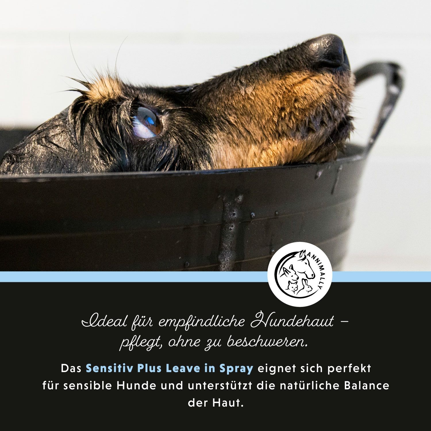 Hund in schwarzer Wanne. Text: Ideal für empfindliche Hunde. Logo. Text über Pflege für sensible Hunde.
