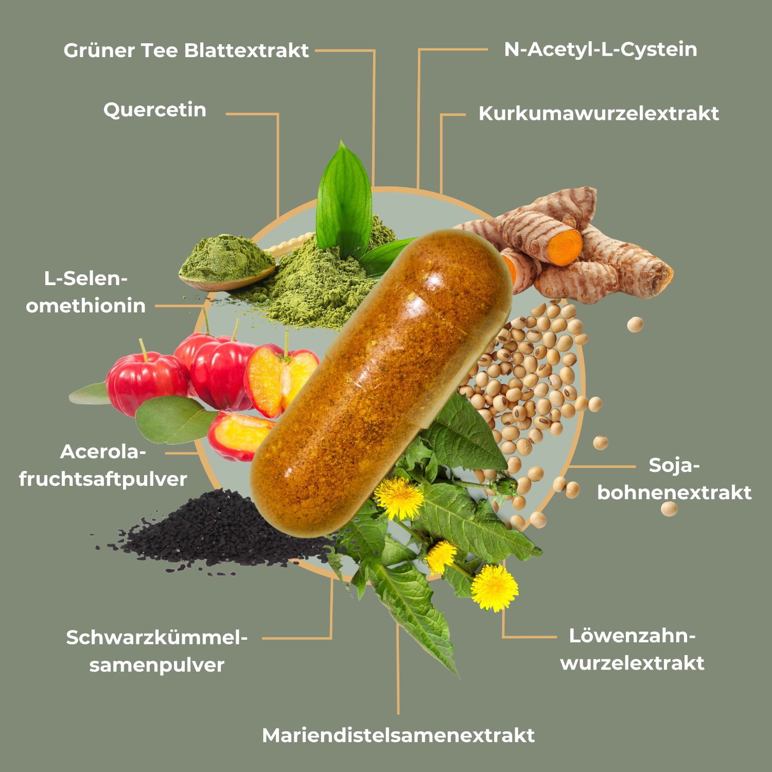 Viktilabs Revitoxa: Nattokinase Komplex mit NAC, Quercetin, Selen und wertvollen Pflanzenextrakten