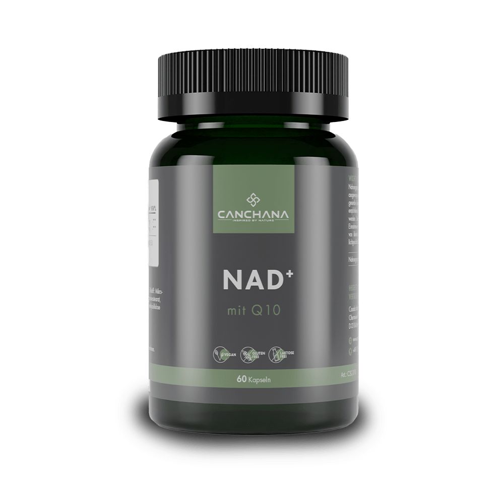 Canchana NAD+ mit Q10