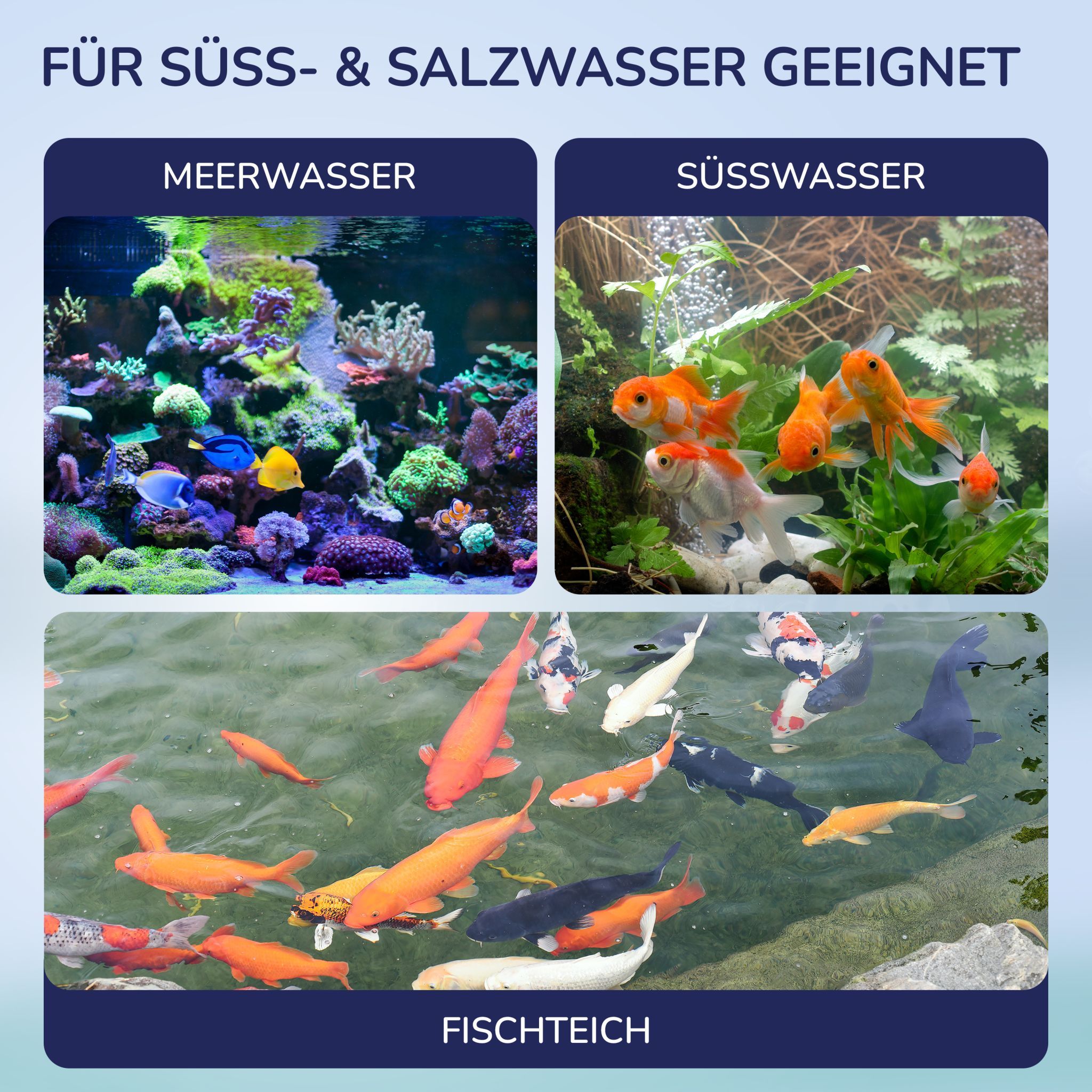 Bilder von Meerwasser, Süßwasser und Fischteich. Text: Für Süß- & Salzwasser geeignet.