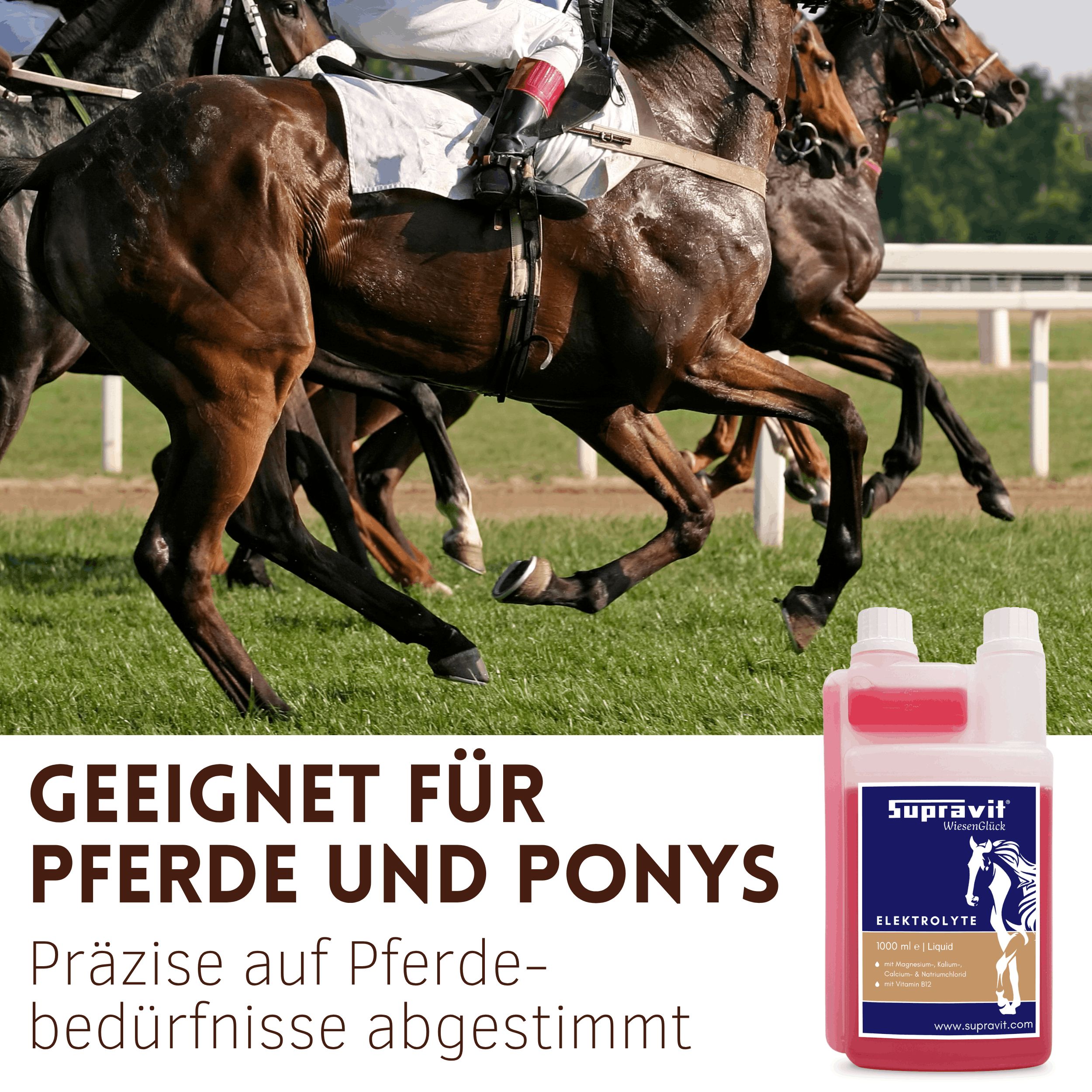 Elektrolytflasche neben galoppierenden Pferden. Aufschrift: Supravit Elektrolyte. Geeignet für Pferde und Ponys.